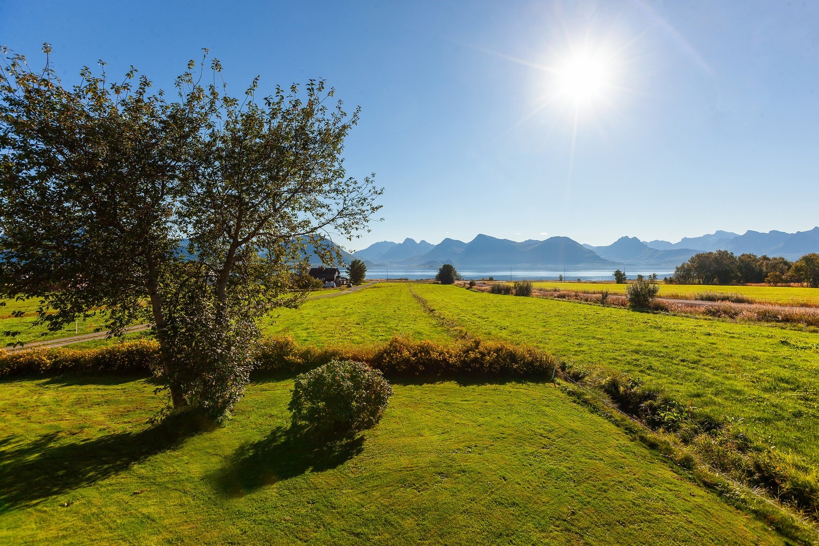 Naboens sauer beiter på markene rundt boligen - et populært innslag blant barna Galleribilde