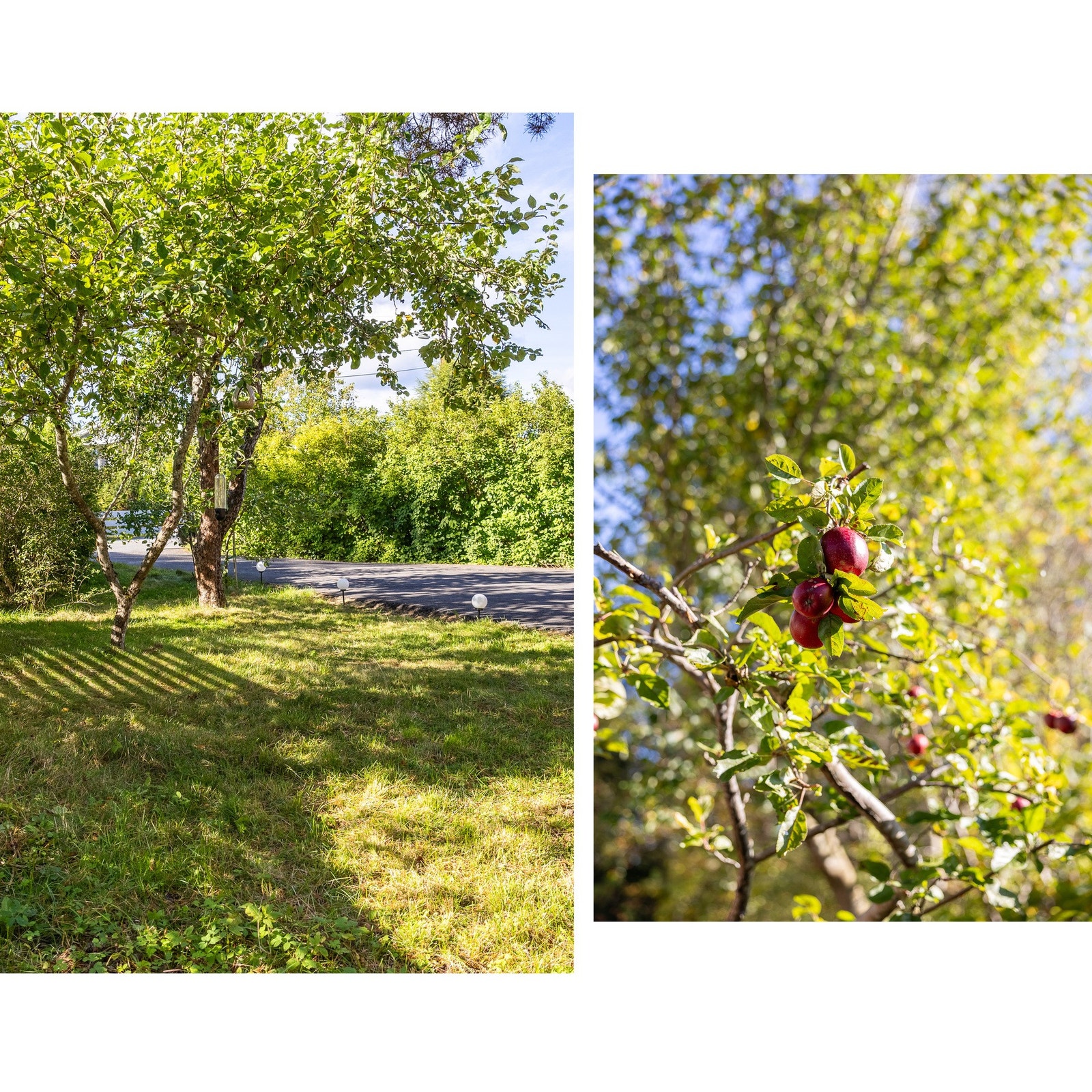 Huset er omringet av skjønn natur. I hagen finner du både epler, moreller og kirsebær. Galleribilde