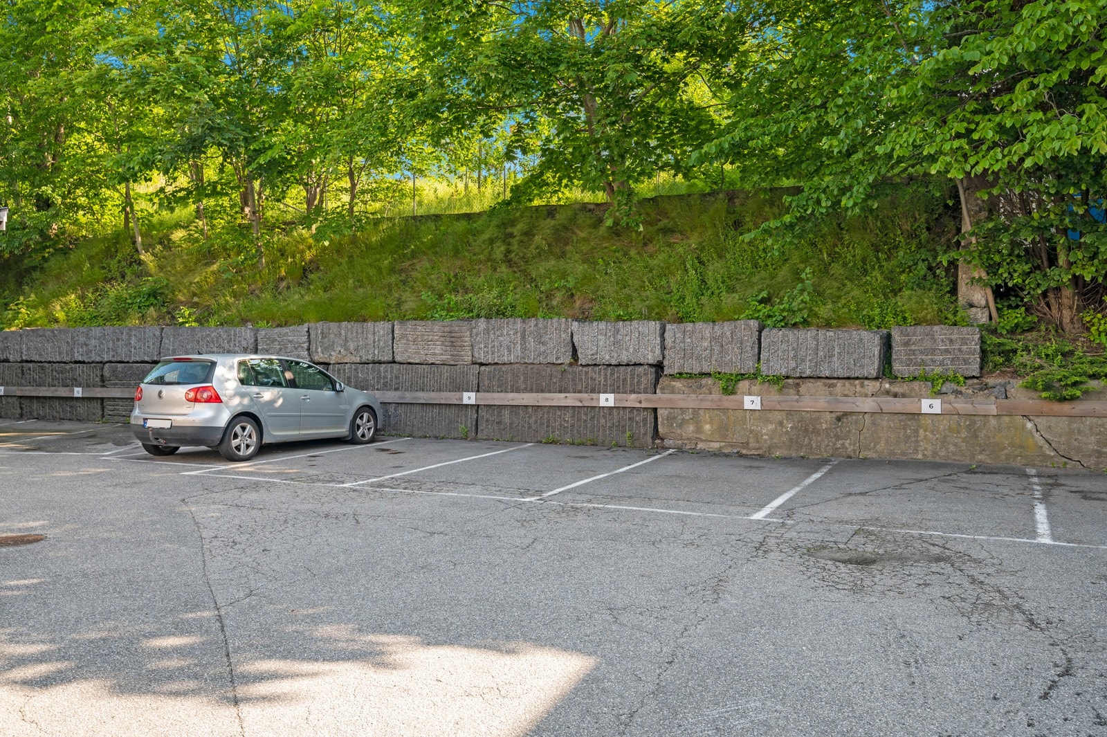 Hver seksjon får 1 plass til disposisjon Galleribilde