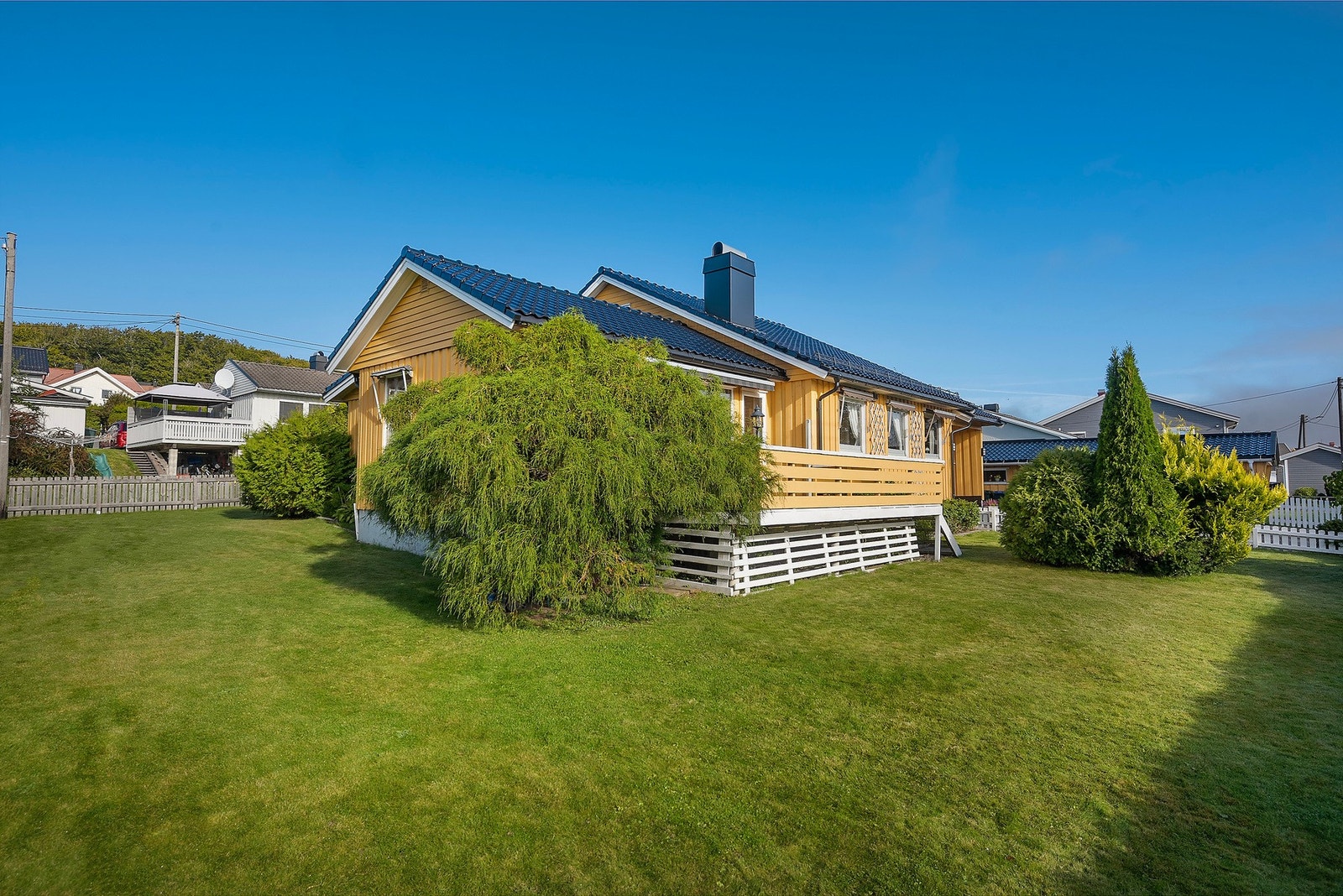 Velstelt plen med grønne omgivelser i inngjerdet tomt Galleribilde