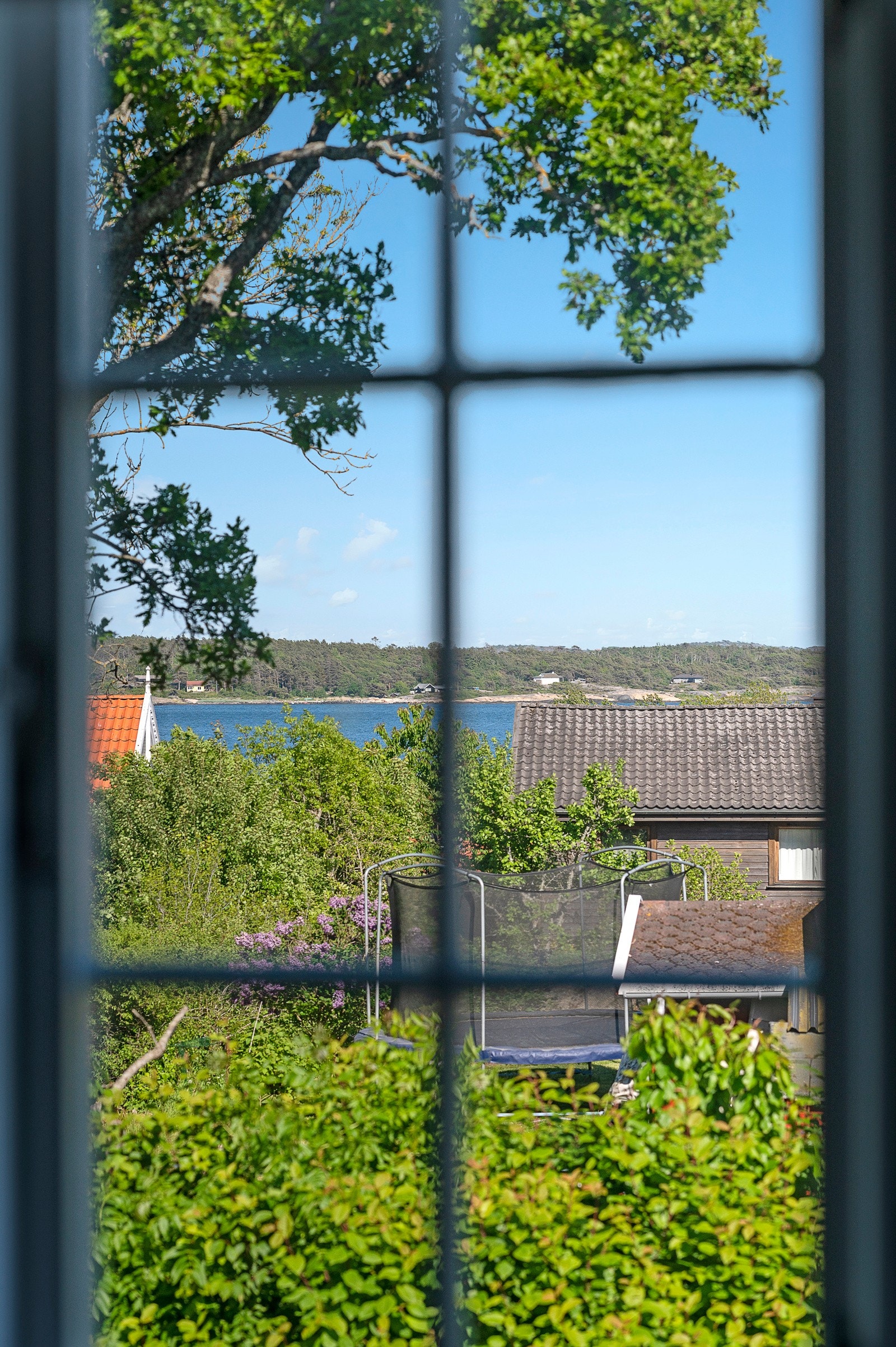 Utsikt. Galleribilde