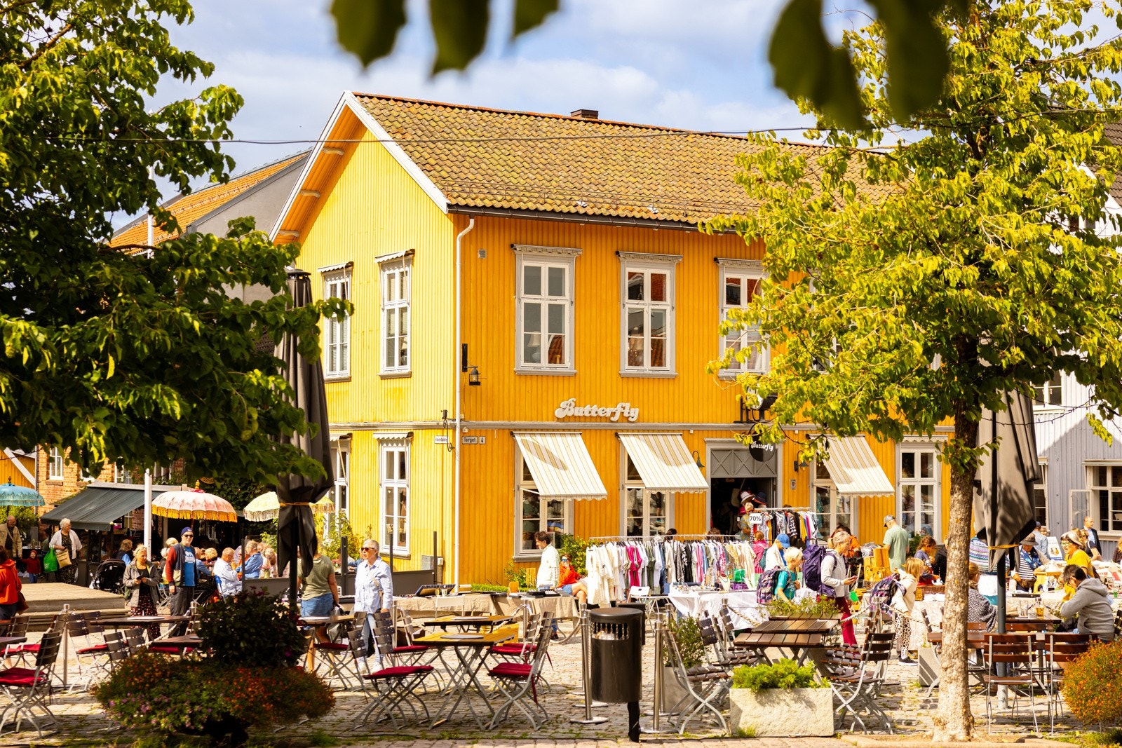 Områdebilde. Galleribilde