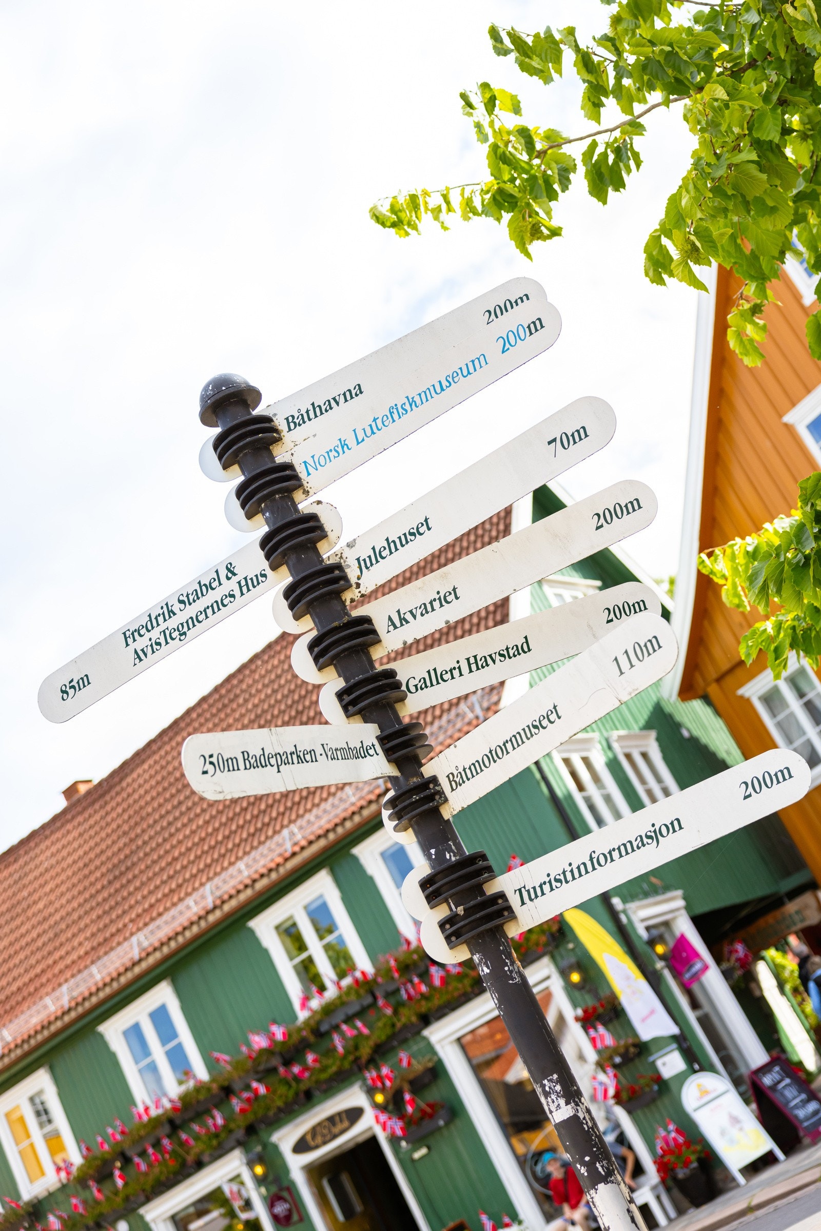 Områdebilde. Galleribilde