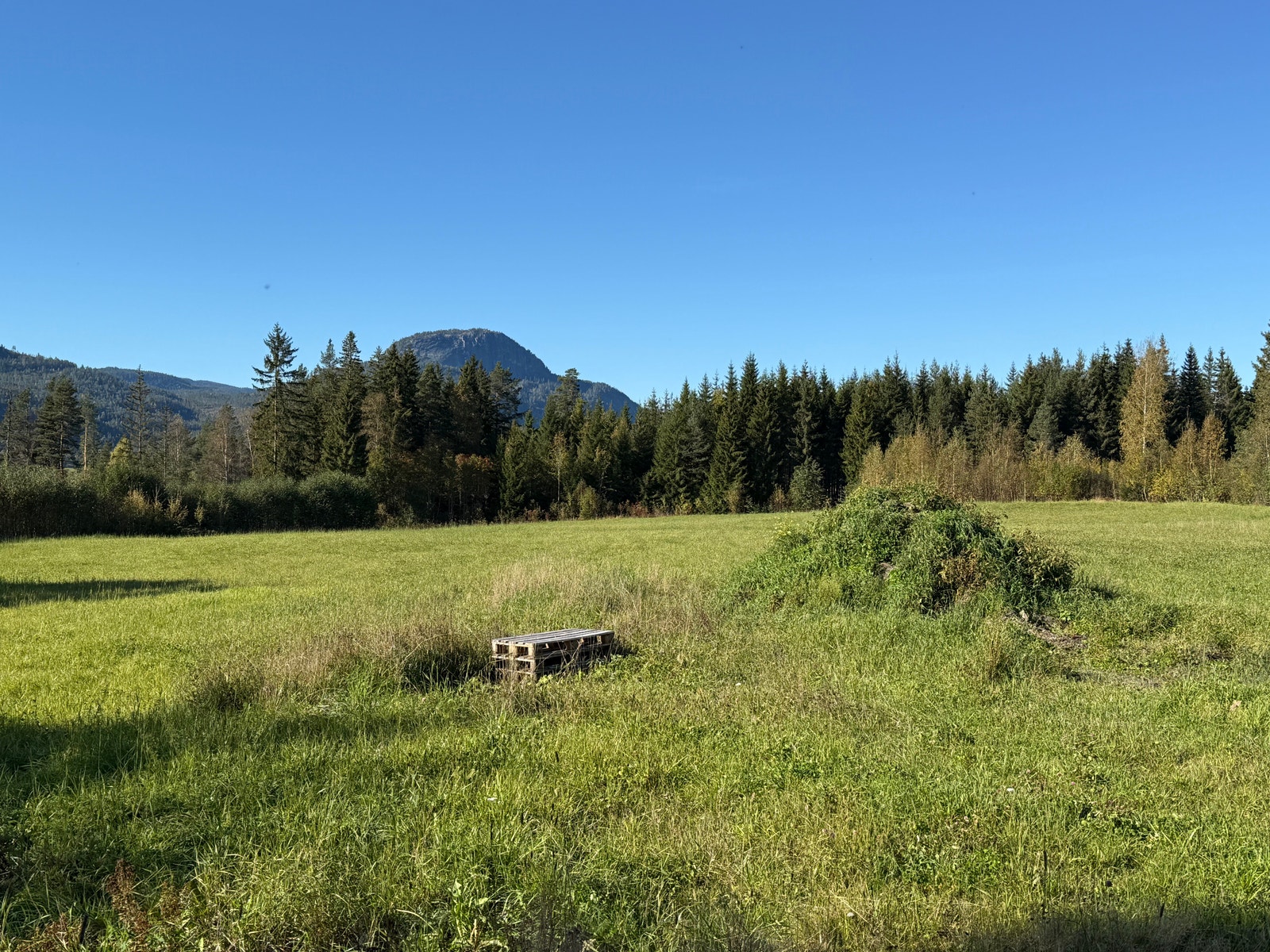 Områdebilde Galleribilde