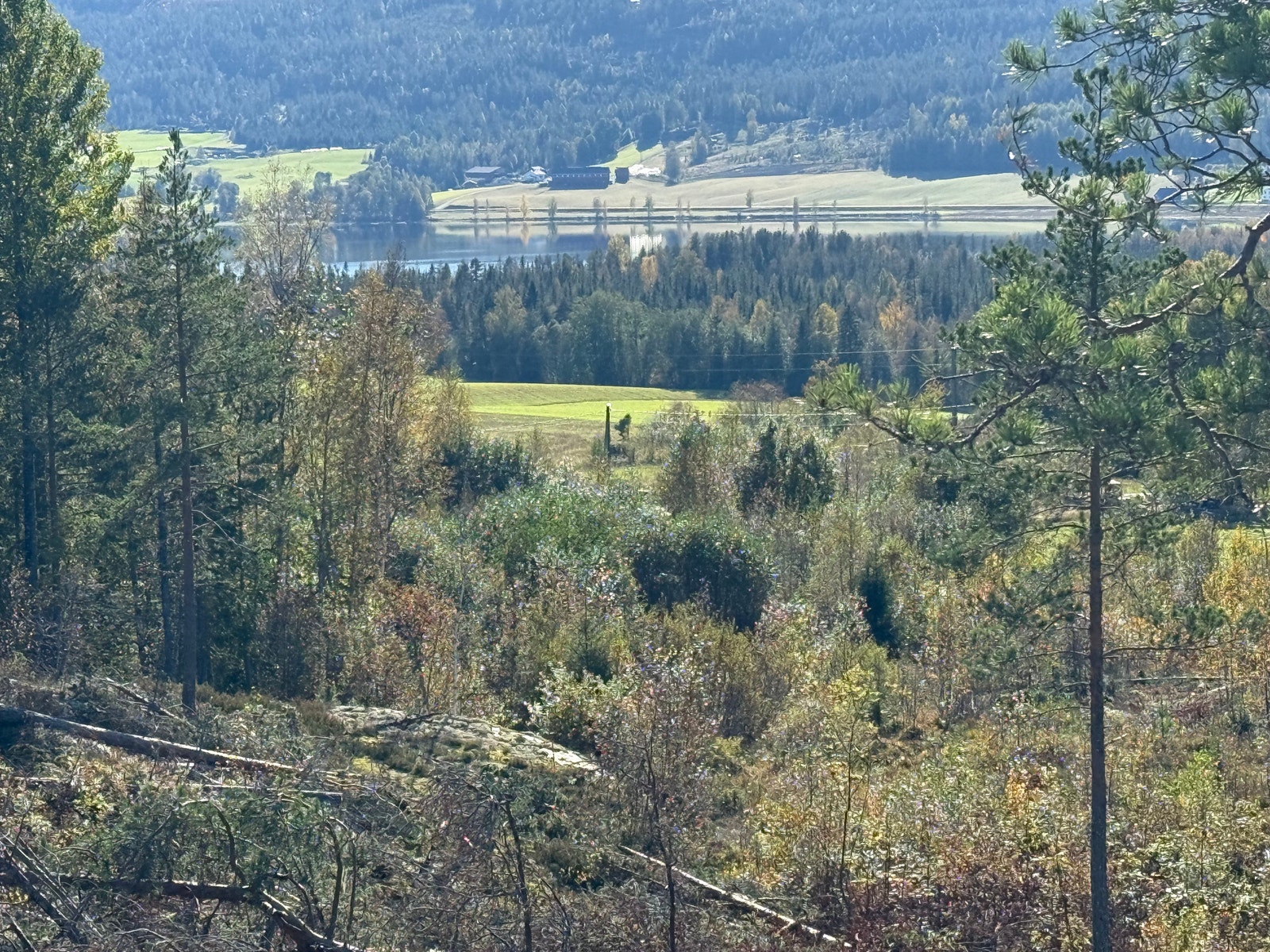 Områdebilde Galleribilde