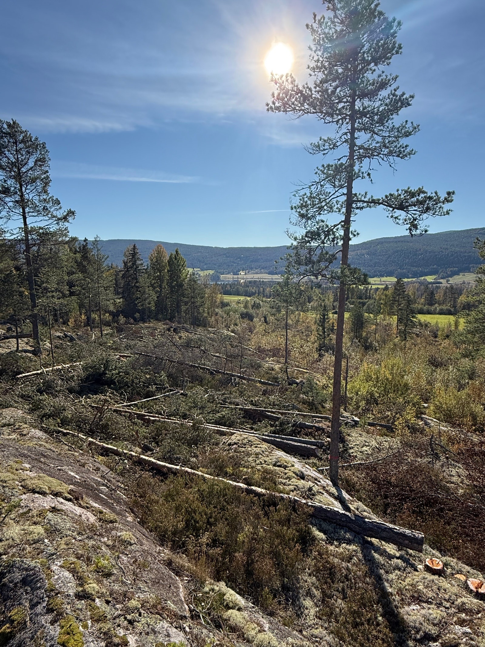 Områdebilde Galleribilde