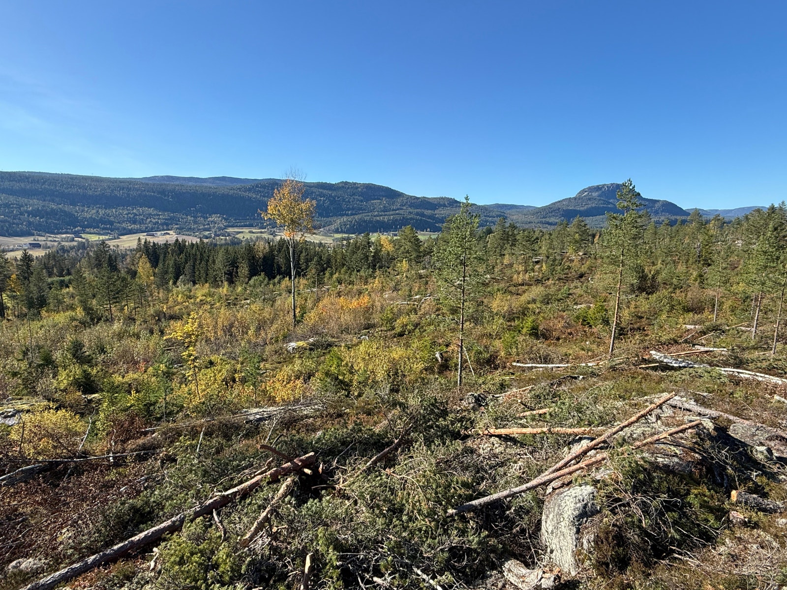 Områdebilde Galleribilde