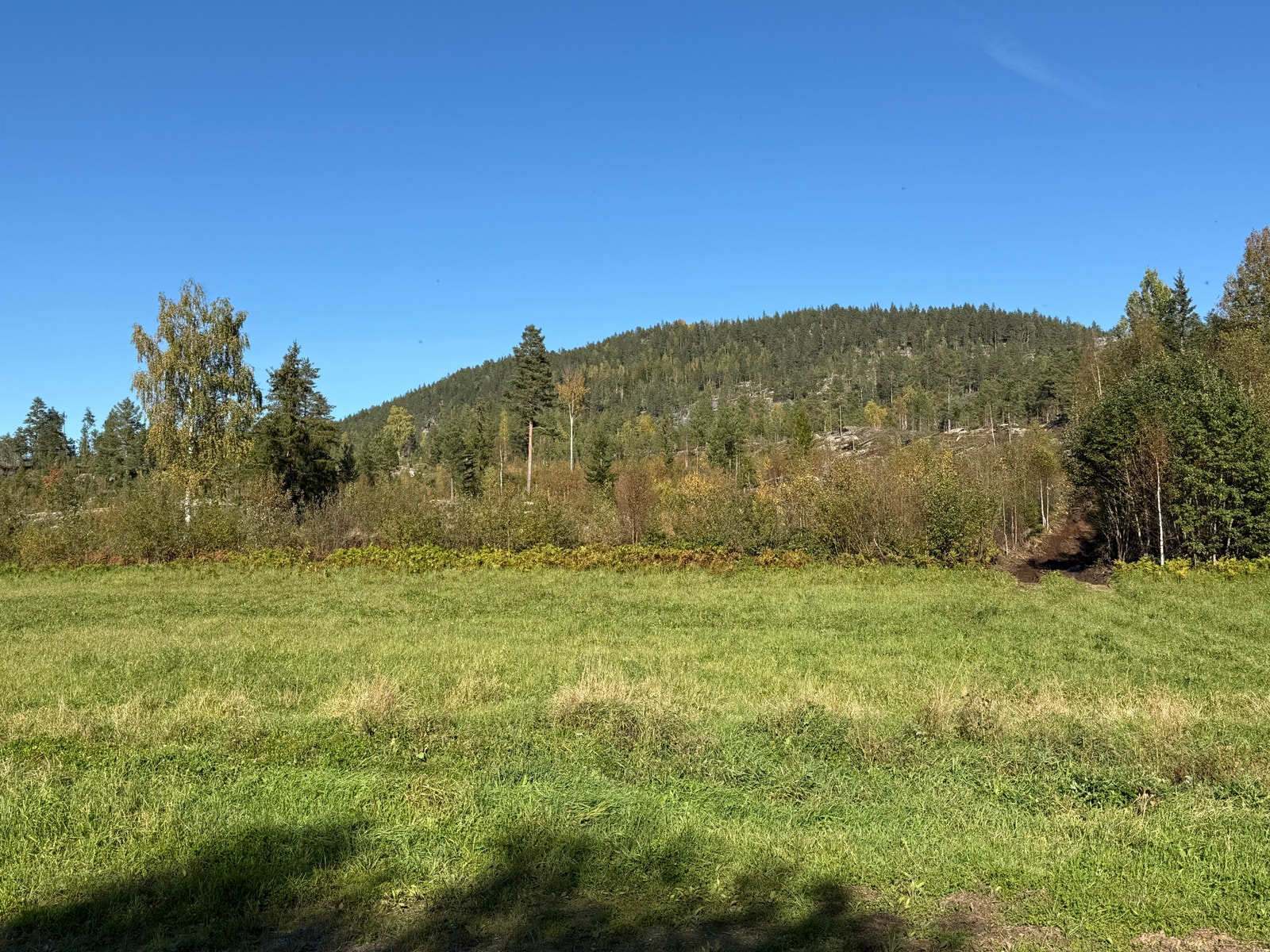 Områdebilde Galleribilde