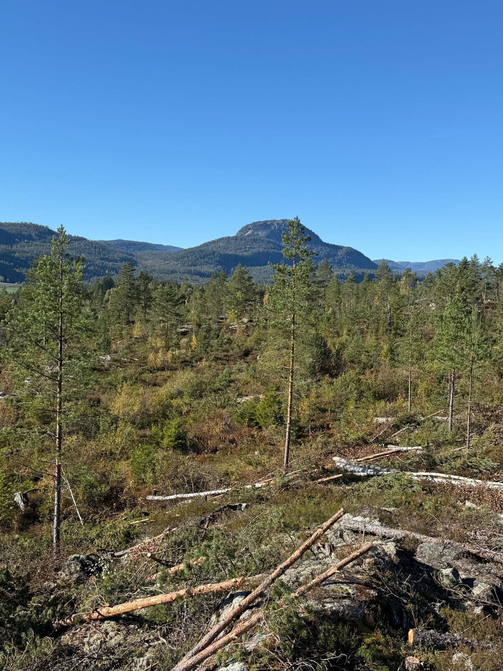 Områdebilde Galleribilde