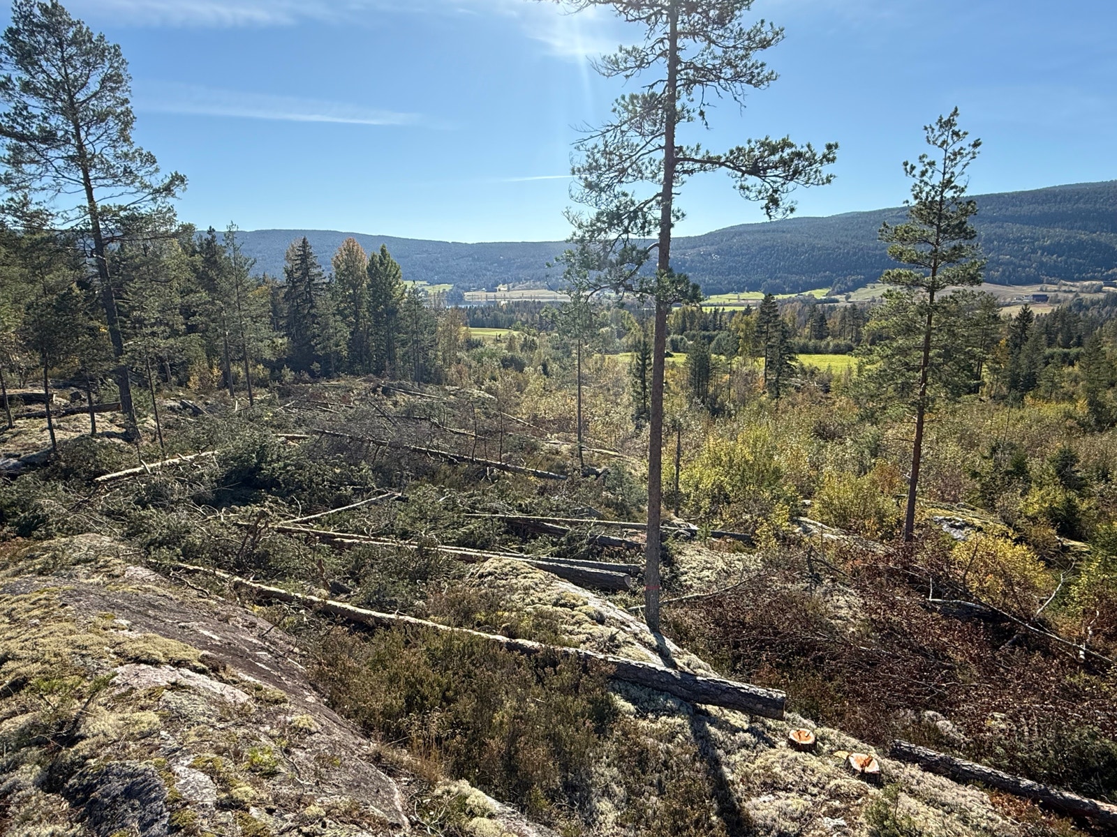 Områdebilde Galleribilde