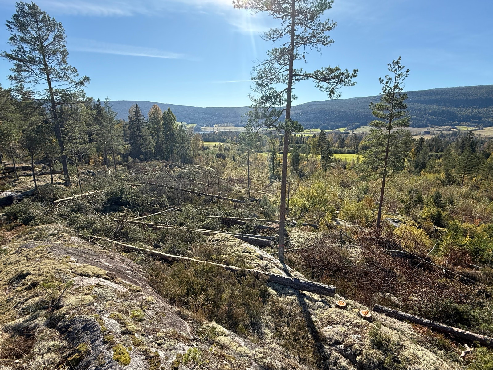 Områdebilde Galleribilde