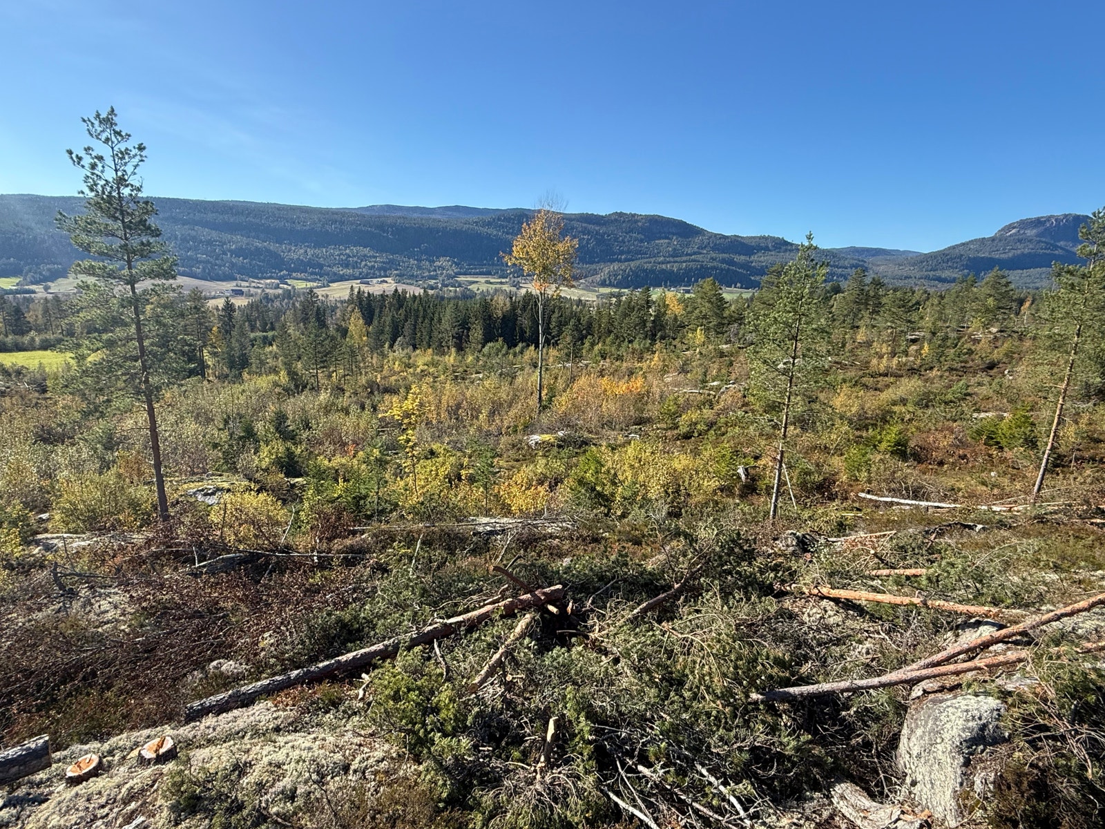 Områdebilde Galleribilde