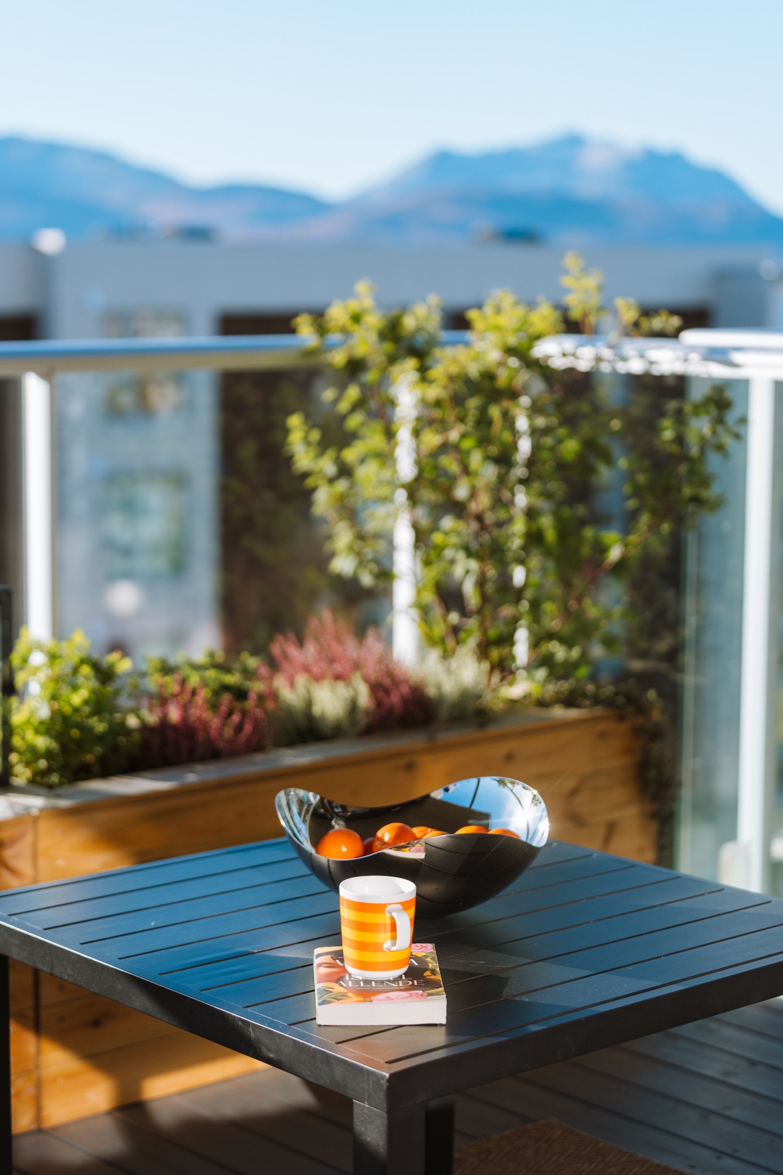 Her er det god plass til en hyggelig spisegruppe og grill.