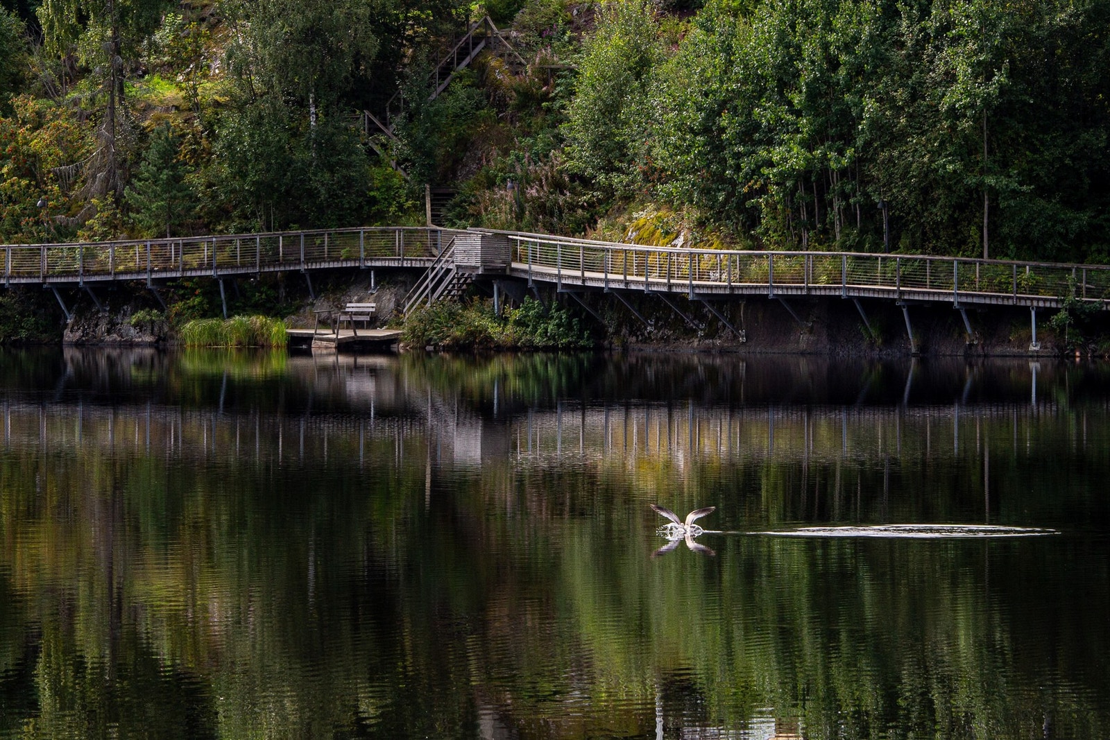 Rett nedenfor boligen ligger Langvannet tursti. Herfra kan du spaserer til badeplasser, parker og skoler i området. Galleribilde