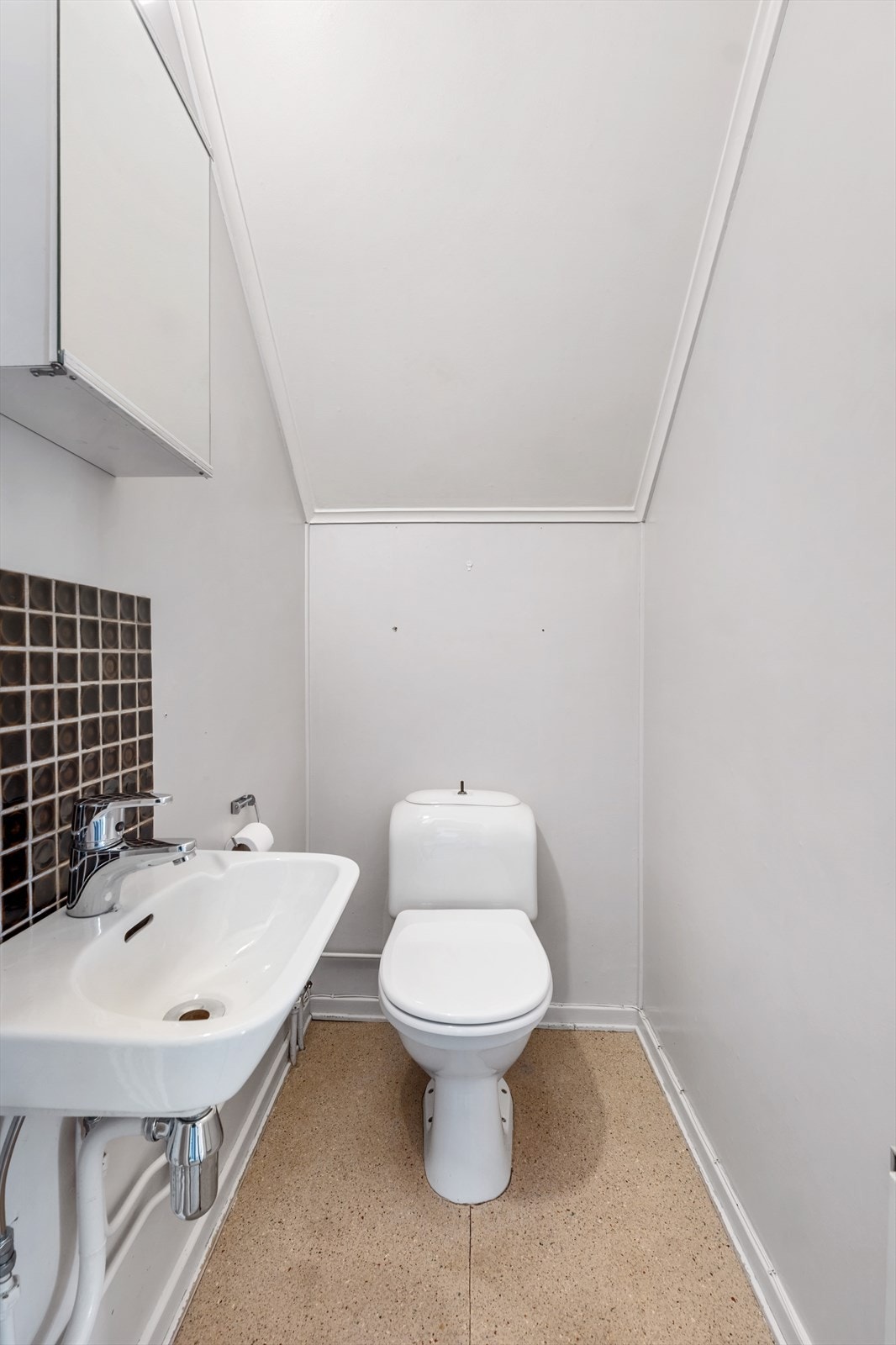 Toalettrommet har gulvstående toalett og servant på vegg Galleribilde