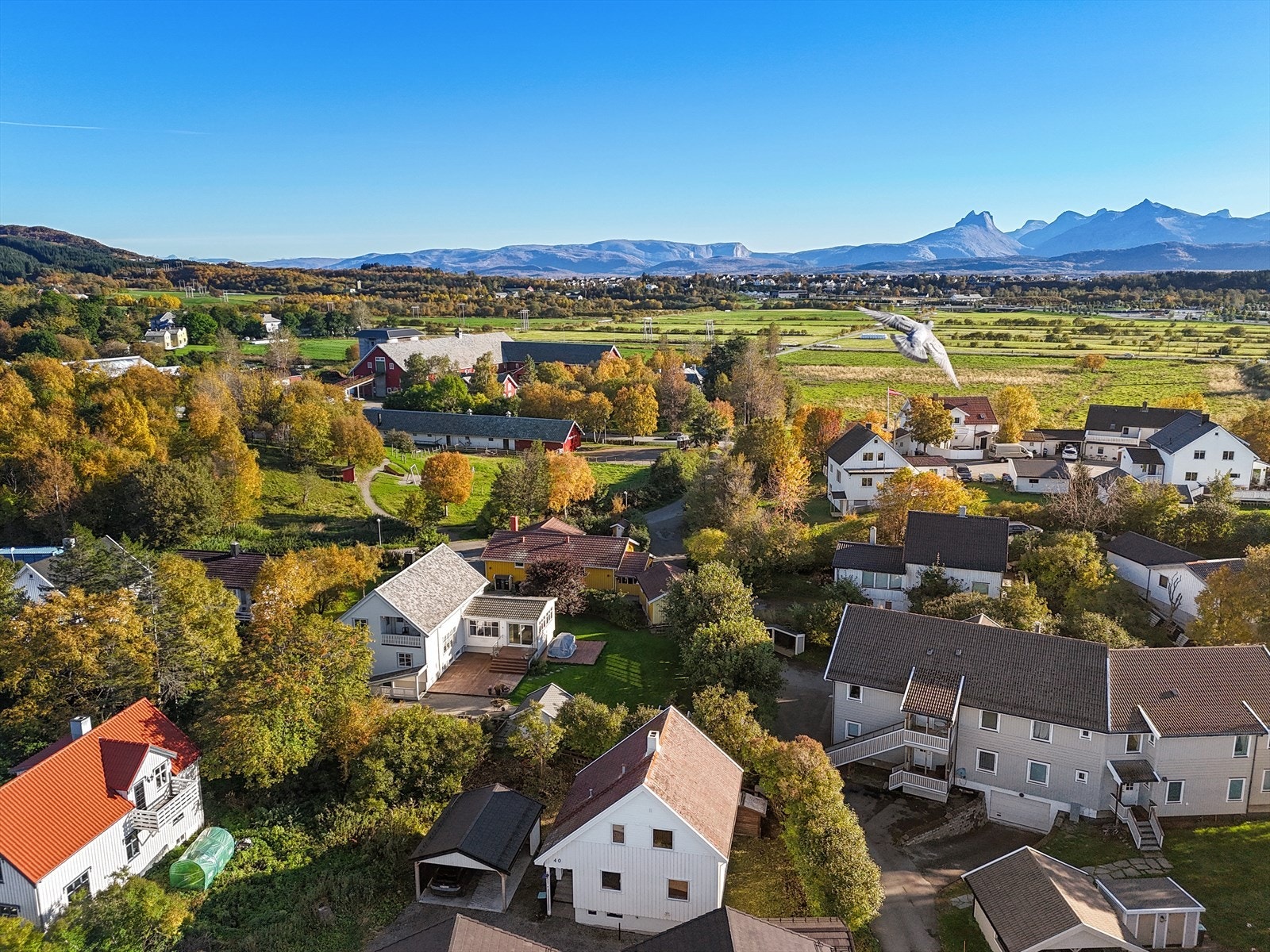 Velkommen til visning! Galleribilde