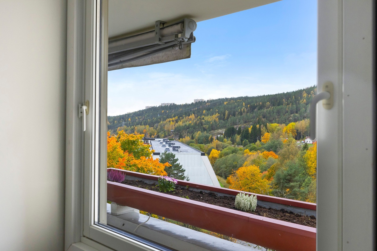 Vinduet gir fint lysinnslipp og utsikt mot grønne omgivelser, noe som skaper en rolig og avslappende atmosfære. Galleribilde