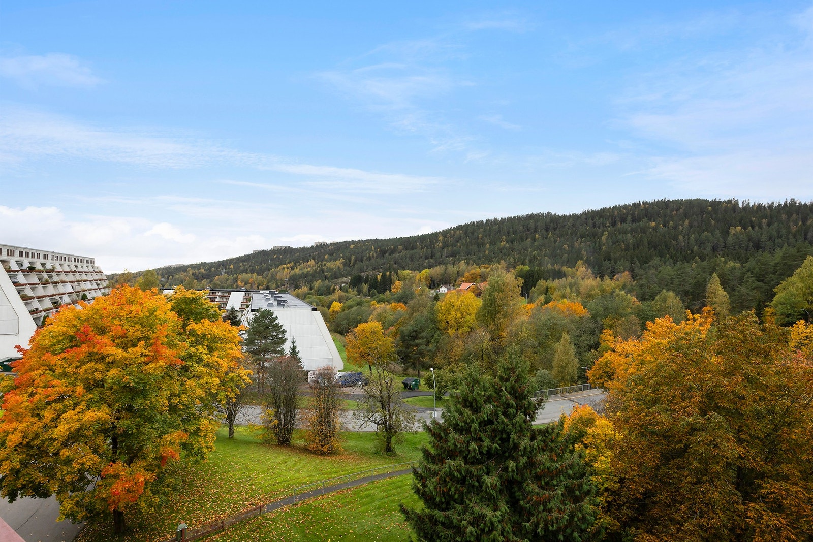 Utsikt. Galleribilde