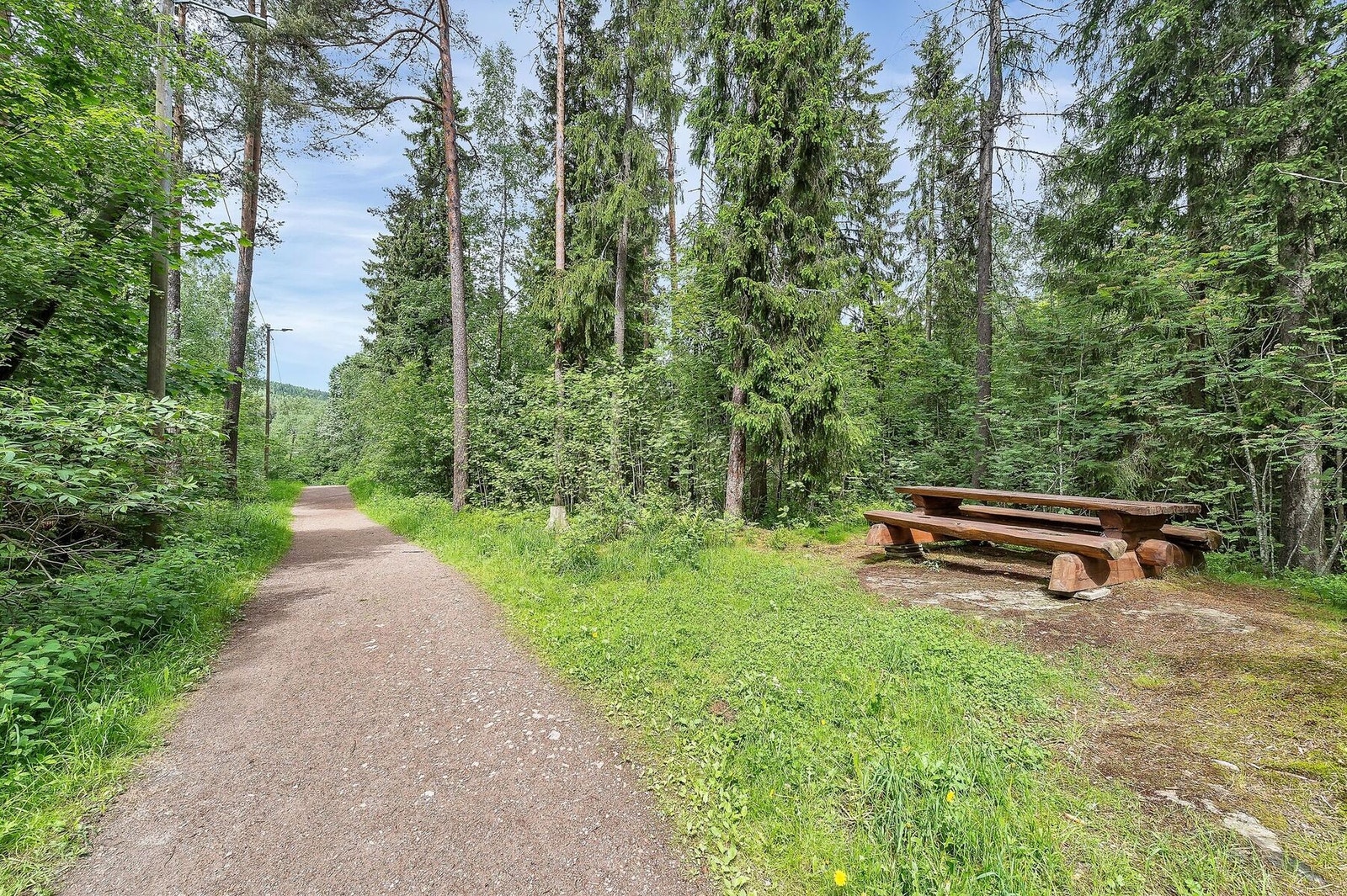 For den turglade finnes det mange turmuligheter i nærområdet. Galleribilde