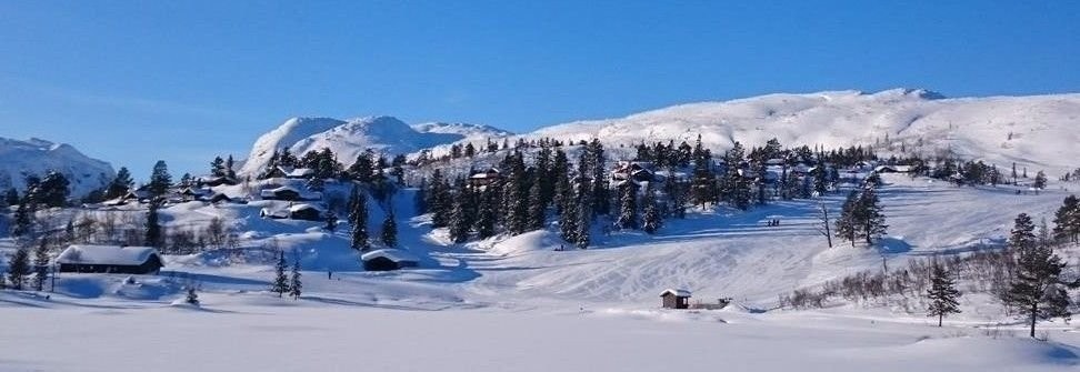 16 - Hallbjørnsekken, bilde funnet på nett Galleribilde