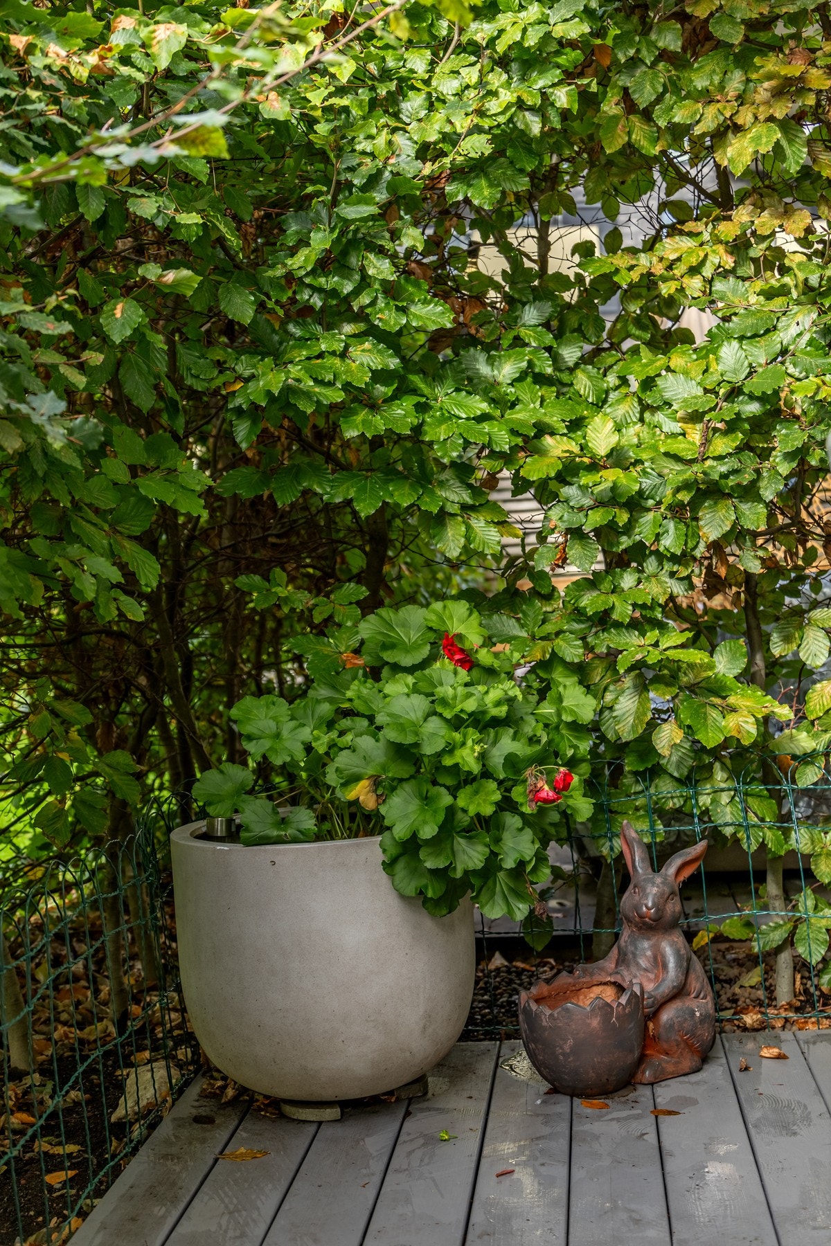 Sommer på terrassen. Galleribilde