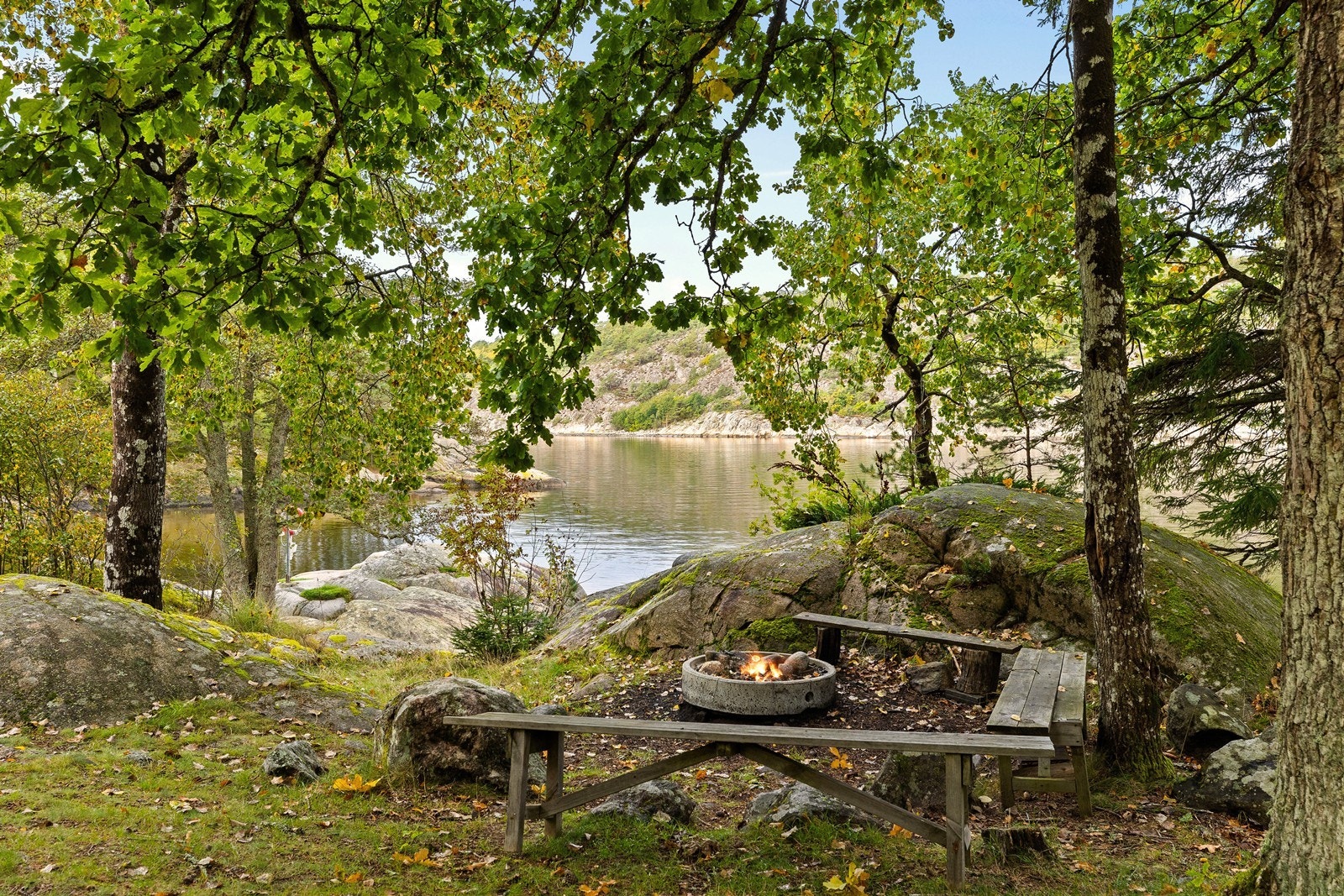 Områdebilde Galleribilde