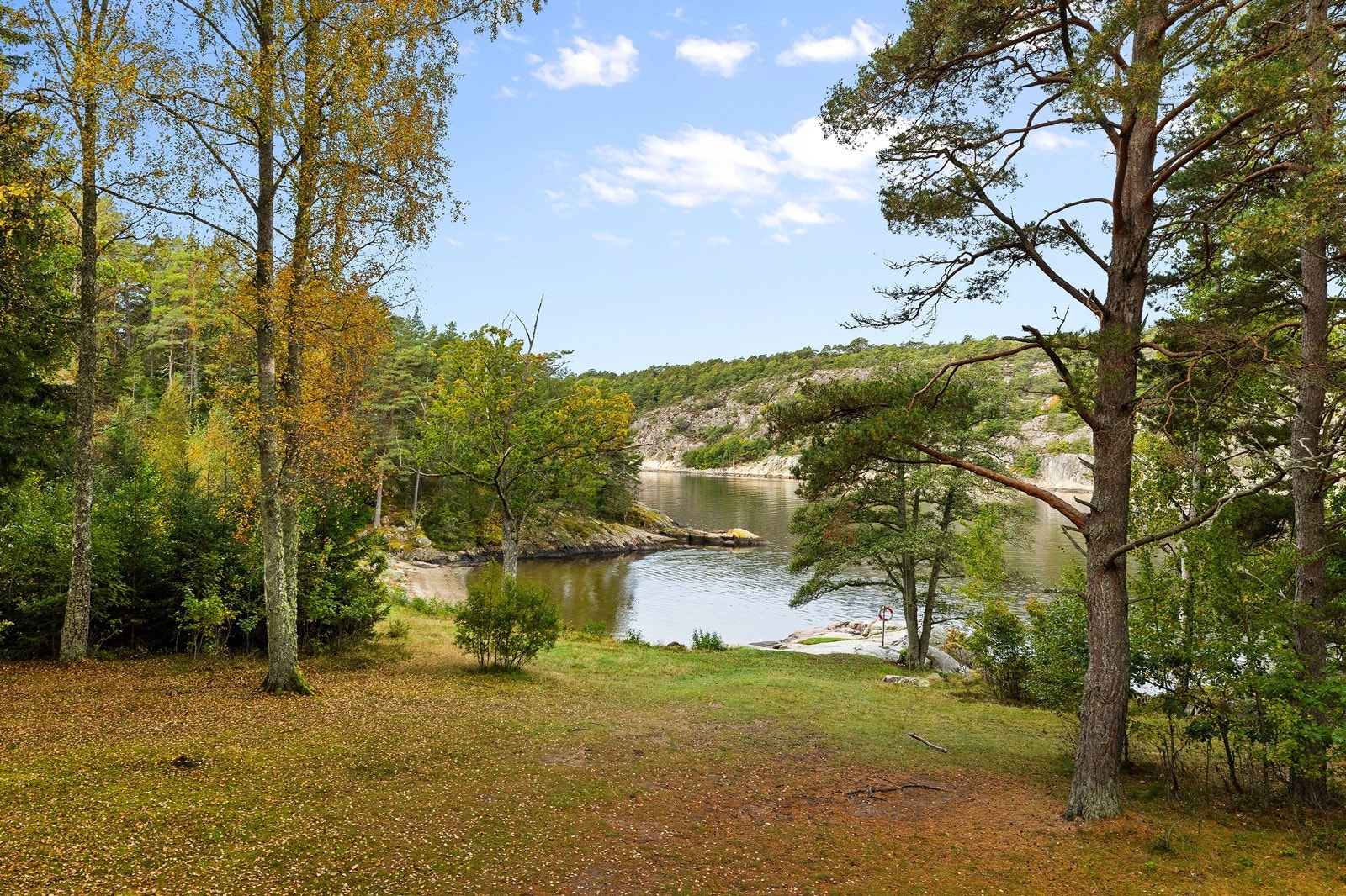 Områdebilde Galleribilde