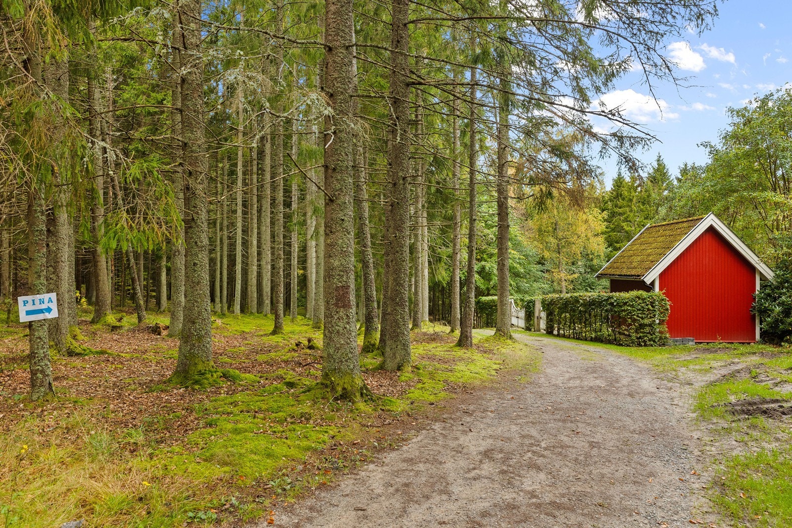 Områdebilde Galleribilde