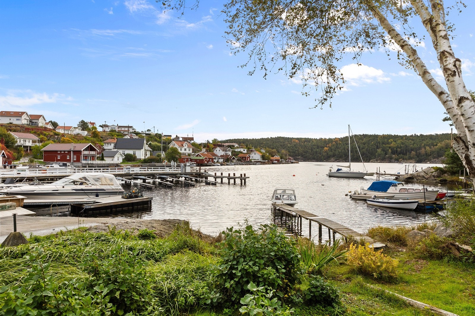 Områdebilde Galleribilde