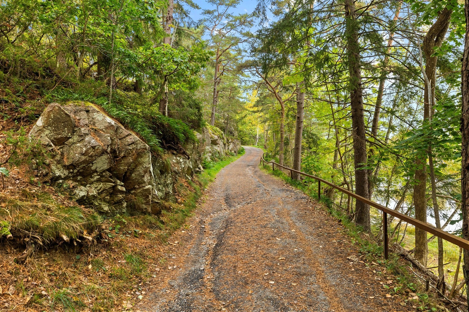 Områdebilde Galleribilde