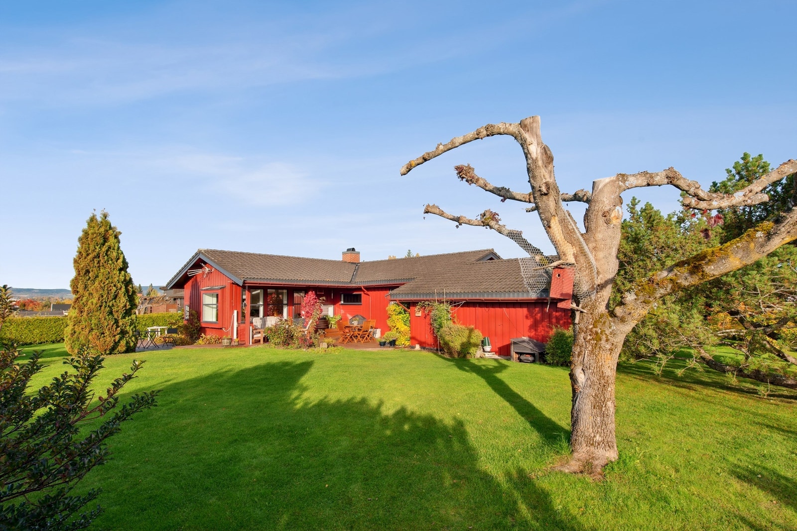 Flat og stor tomt med plen som er perfekt til lek og spill for store og små. Pent opparbeidet hageanlegg. Galleribilde