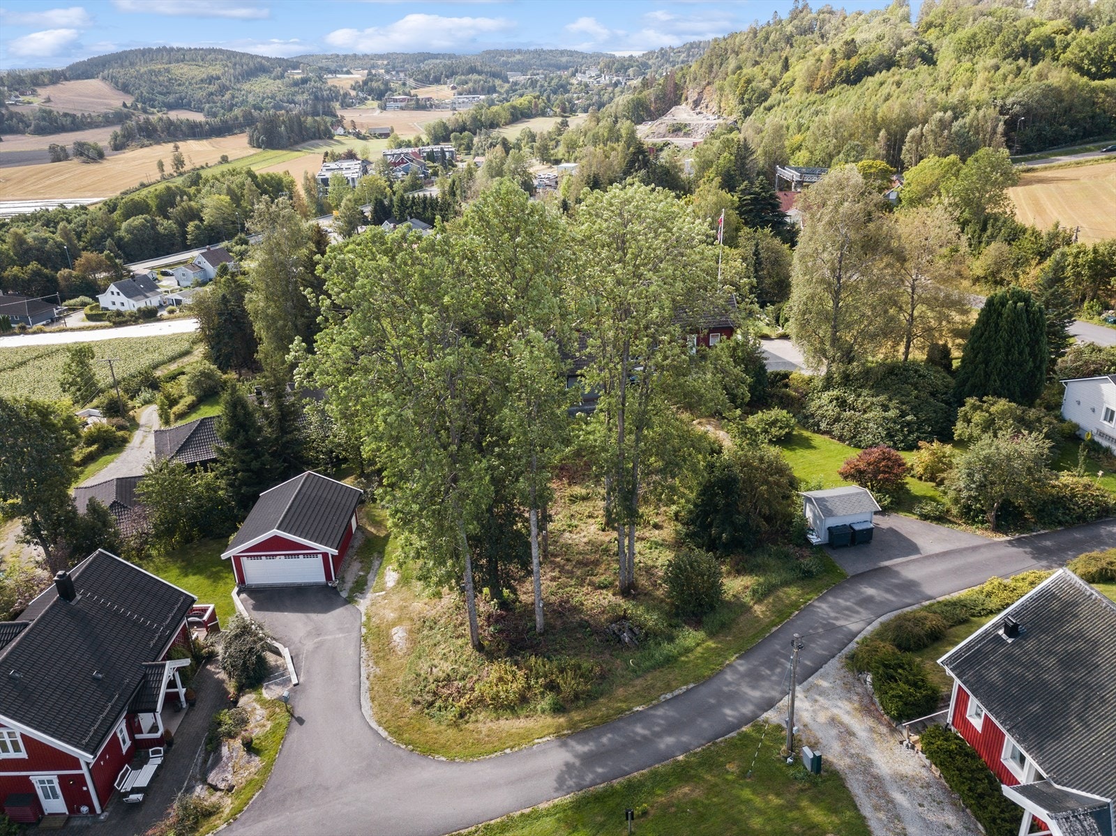 Grønt og fint nabolag. Galleribilde