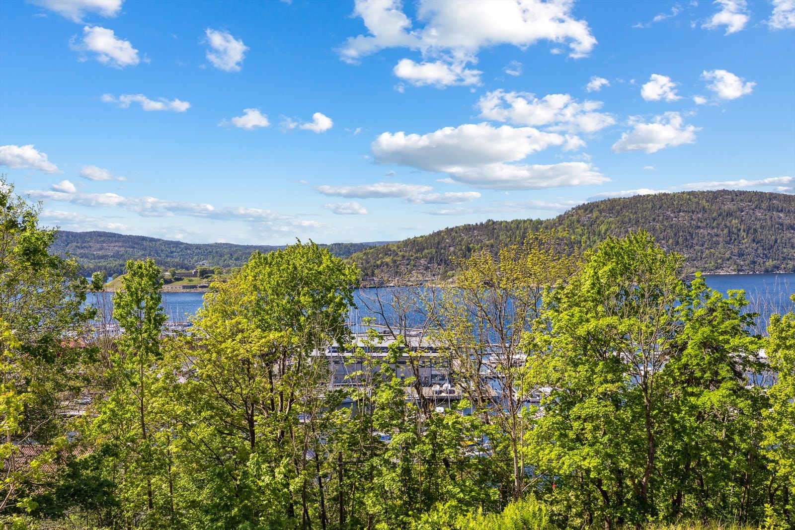 Utsikt fra eiendommen. Galleribilde