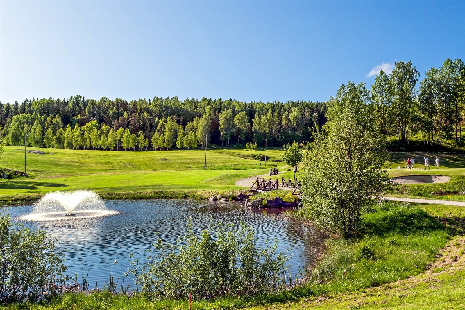 Oppegård golfbane ca. 2 km. fra boligen Galleribilde