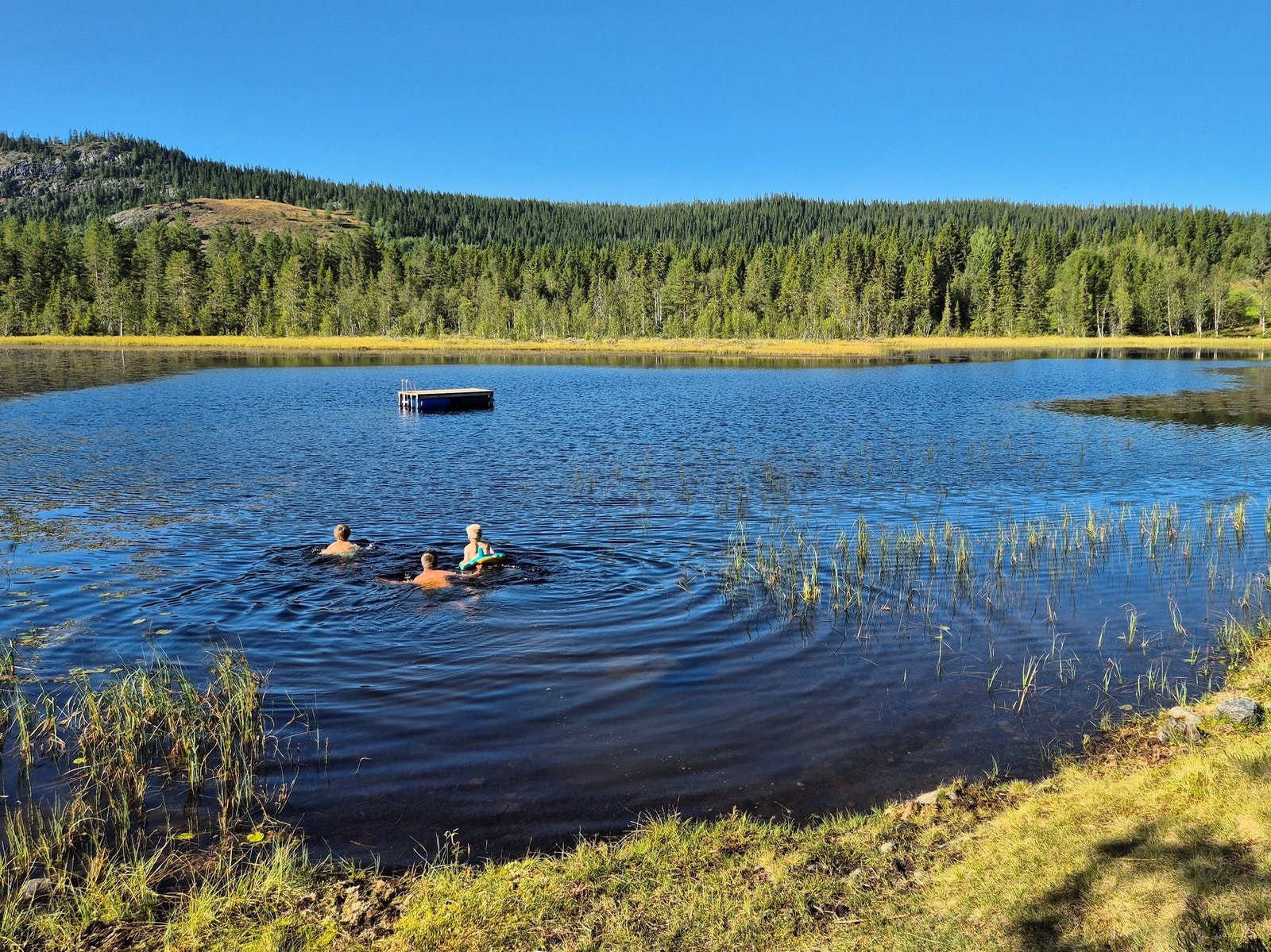 Eiendommen ligger like ved Rønningsdammen. Et koselig vann med bade- og fiskemuligheter. Galleribilde