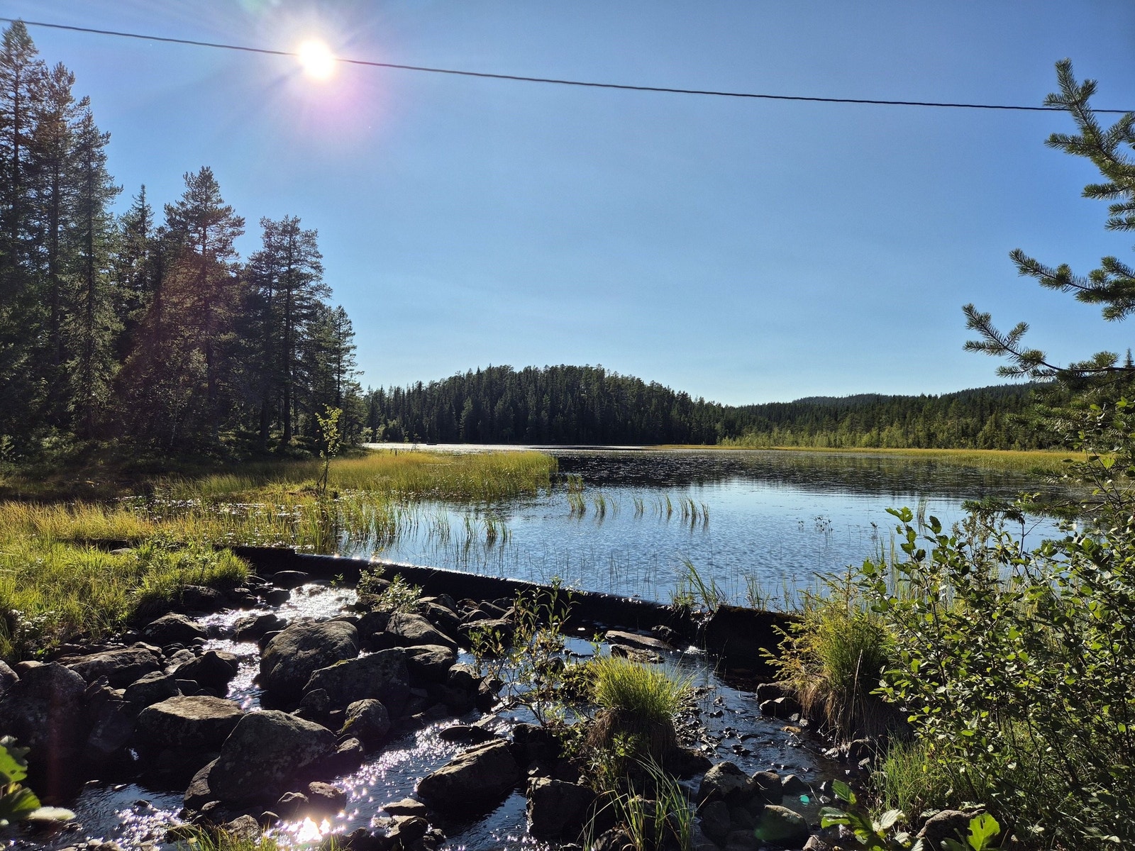 Rønningsdammen sett fra øst. Galleribilde