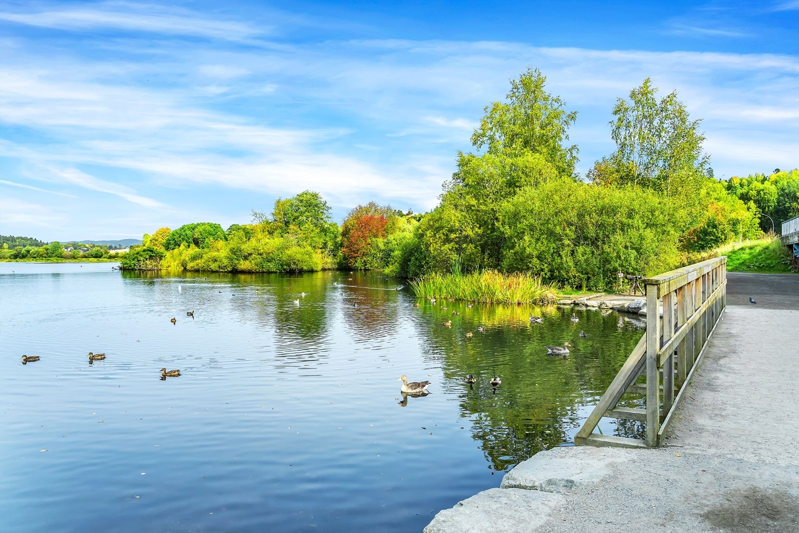 Østensjøvannet. Galleribilde