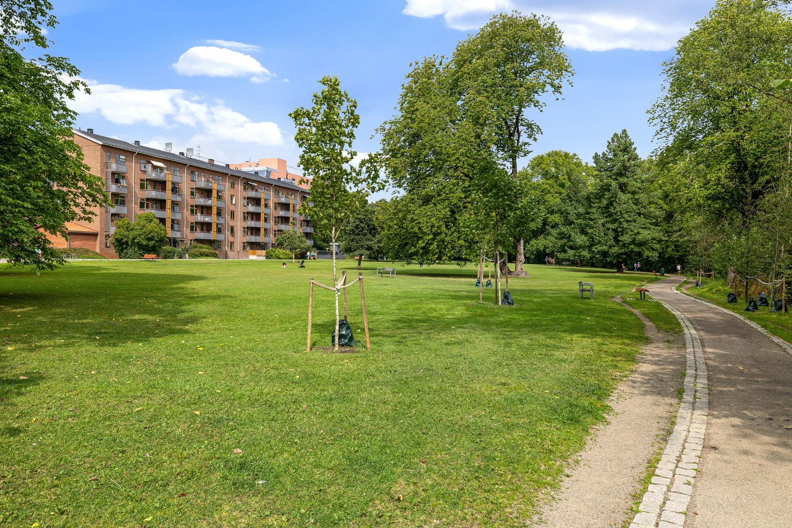 Bilfrie internveier. Galleribilde