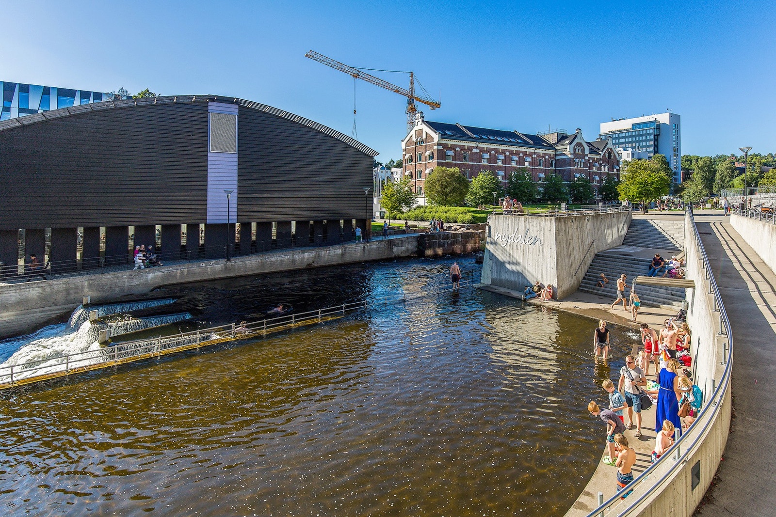 Nærområdet. Galleribilde