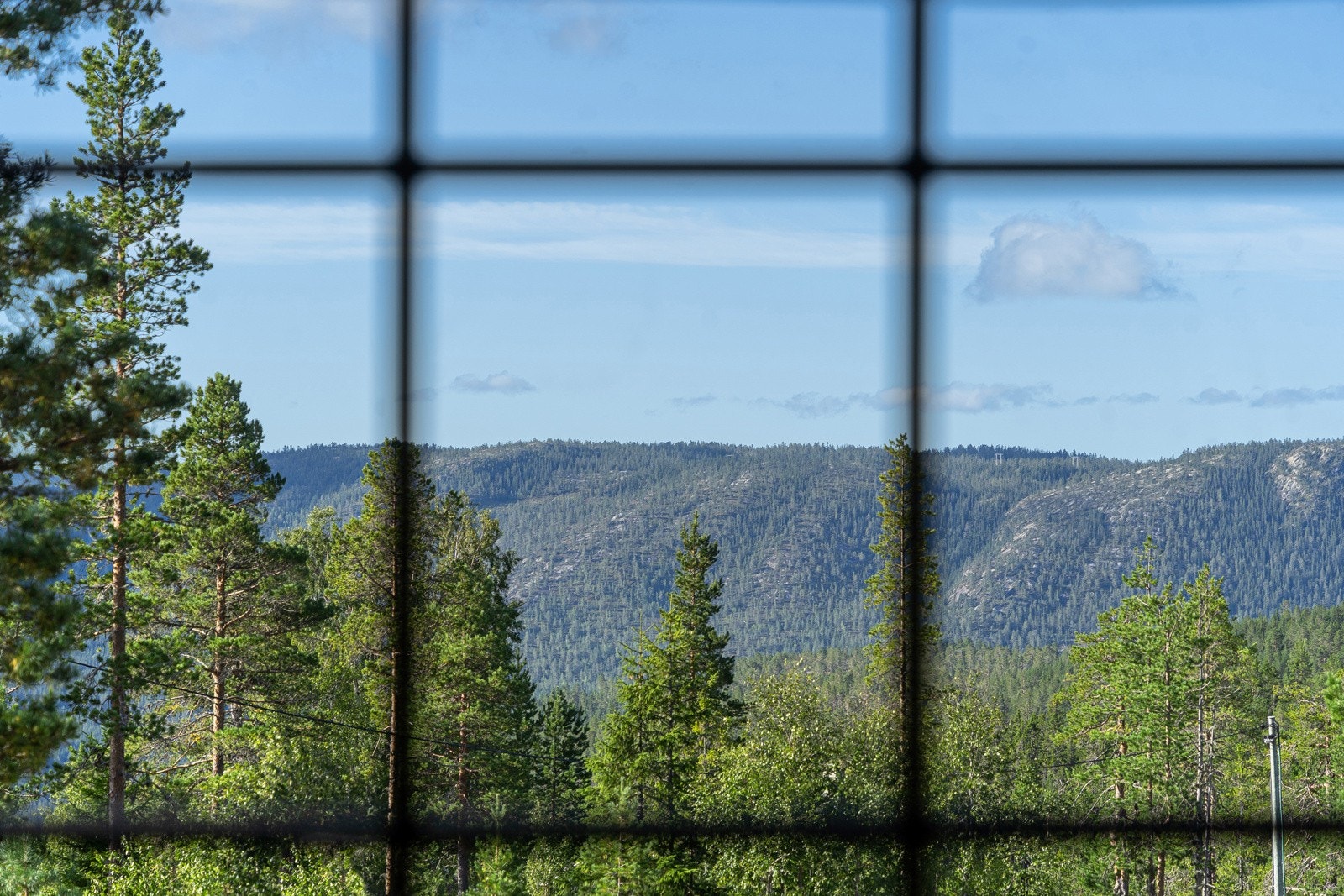 Utsikt fra hytta Galleribilde