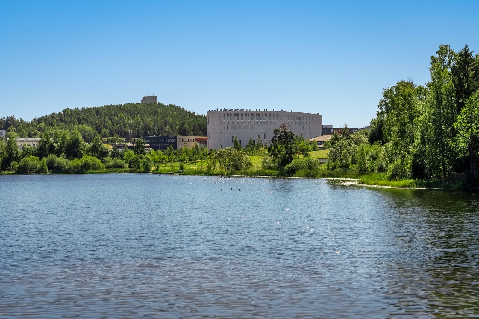 Rundt Langvannet er det fint med bading, jogge- og turmuligheter Galleribilde