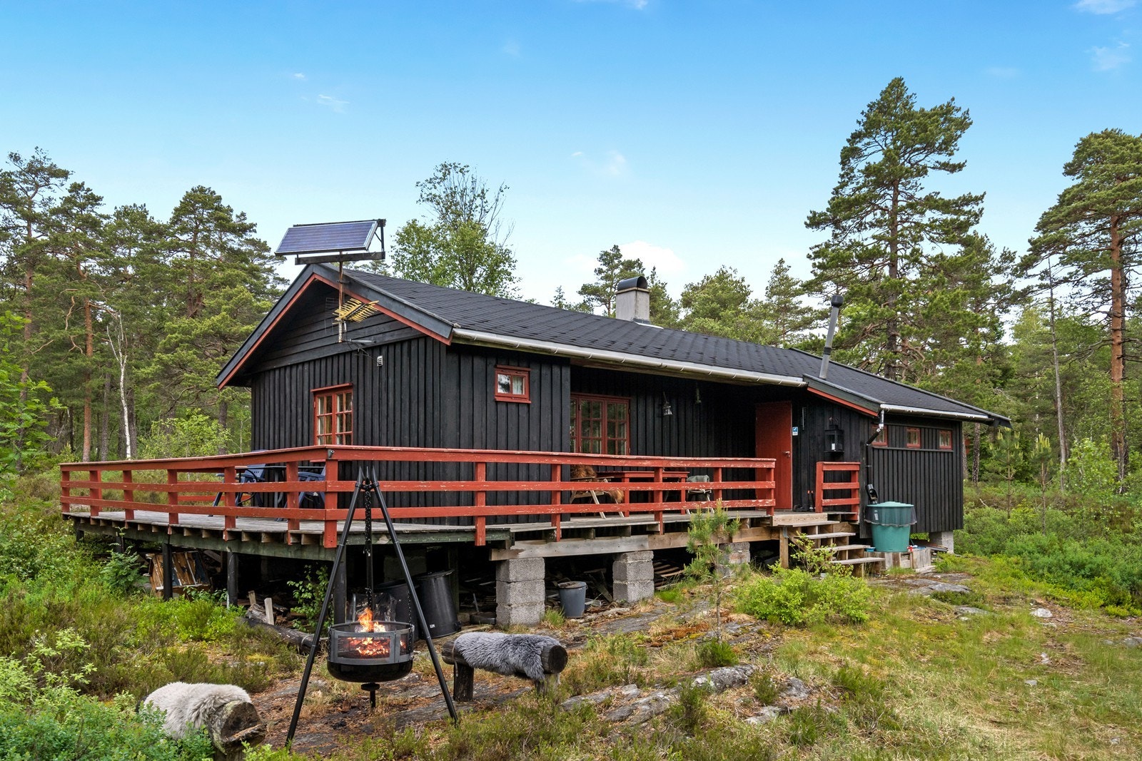 Velkommen til visning! Galleribilde