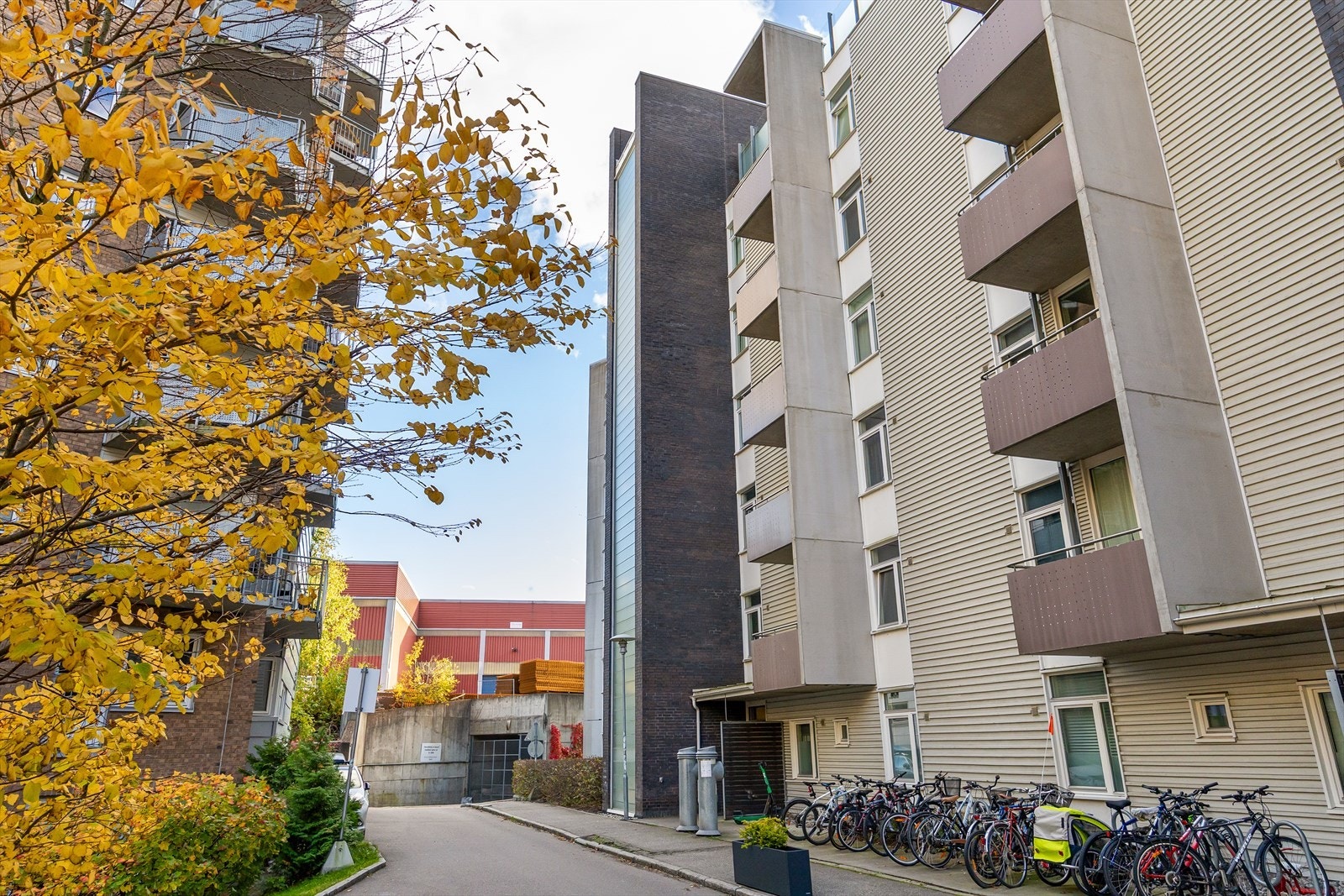 Fasade. Galleribilde