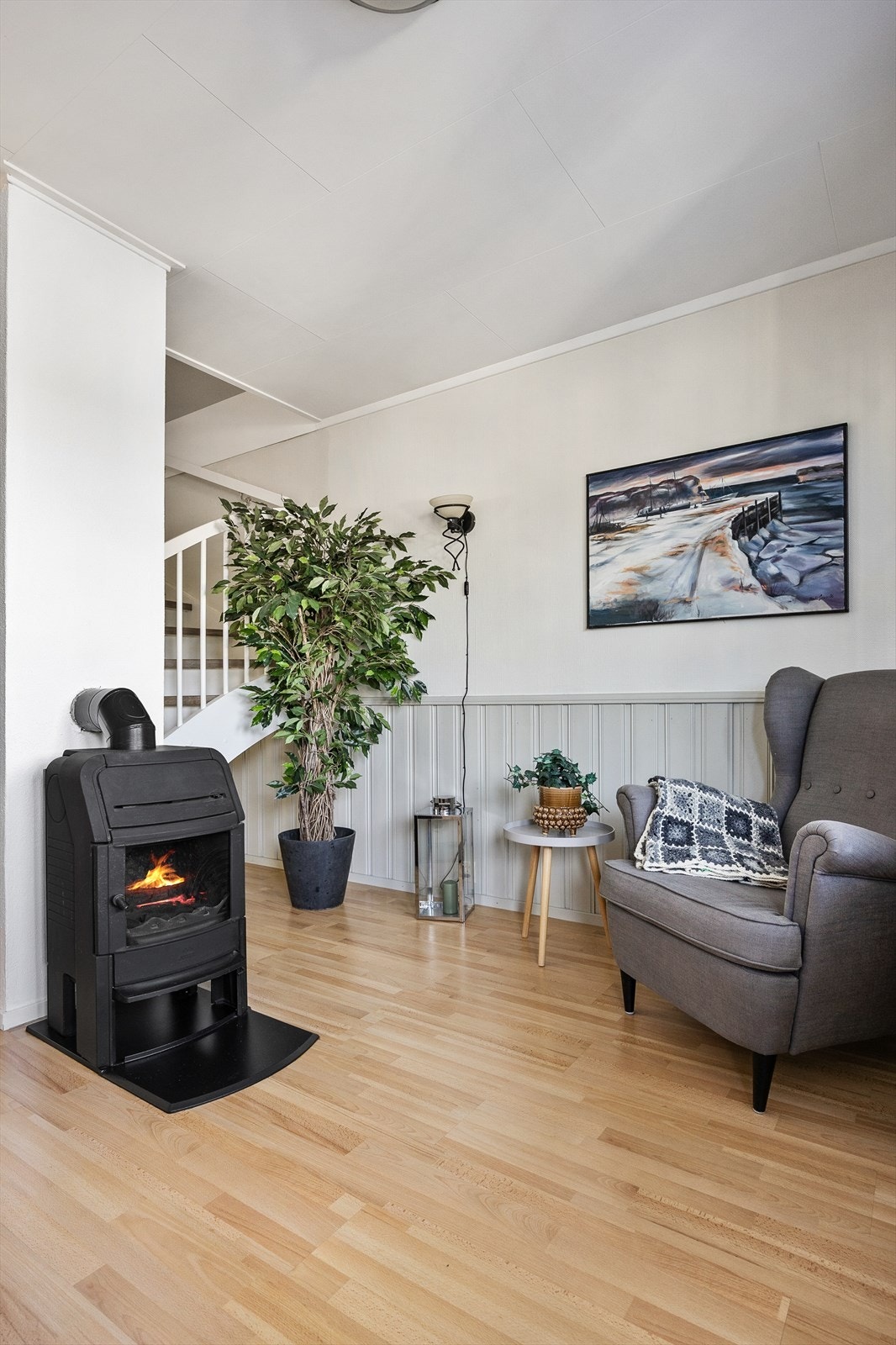 Vedfyrt peisovn plassert i stuen bidrar til både varme og hygge på vinterhalvåret Galleribilde