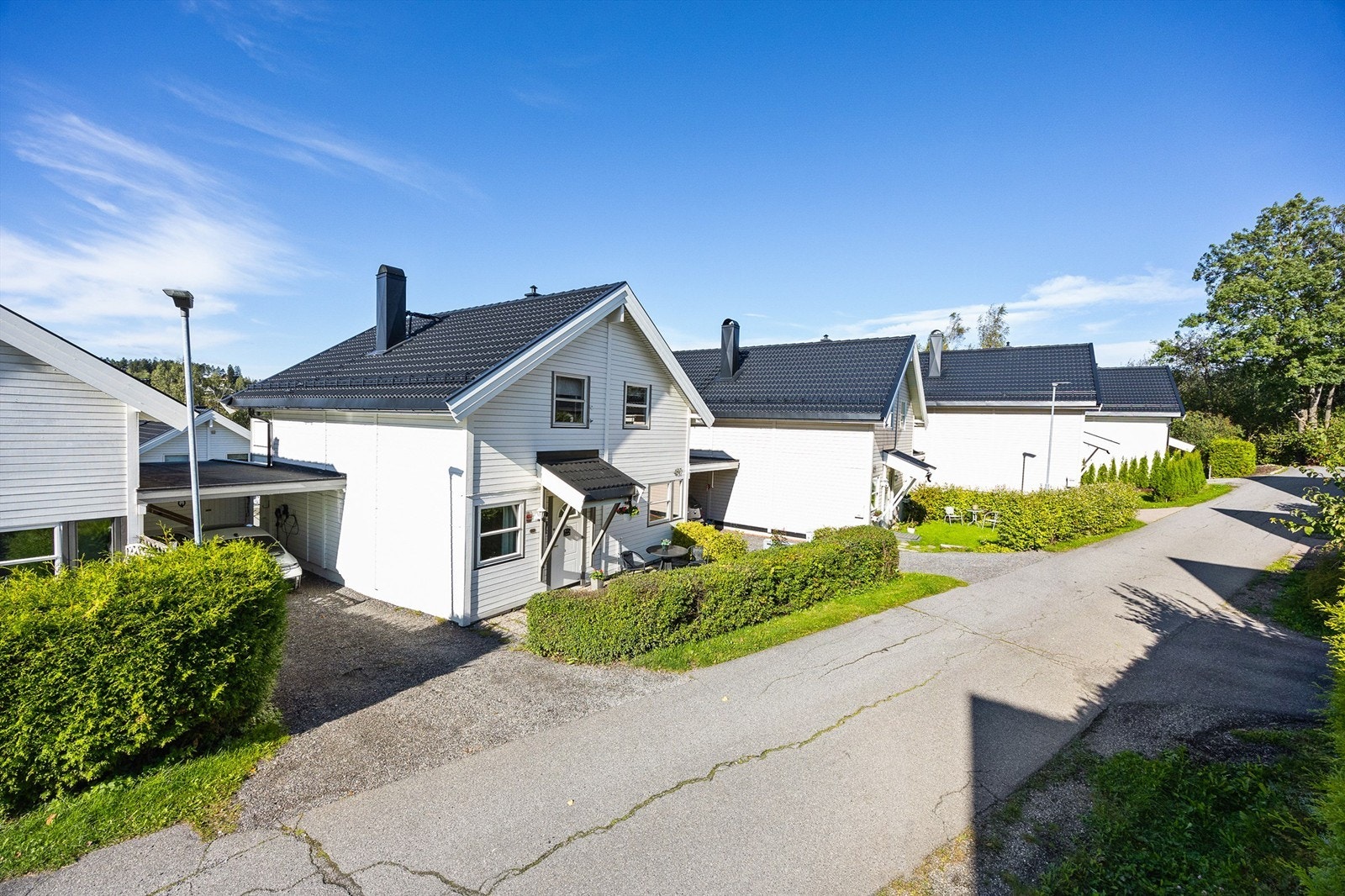 Velkommen til visning! Galleribilde