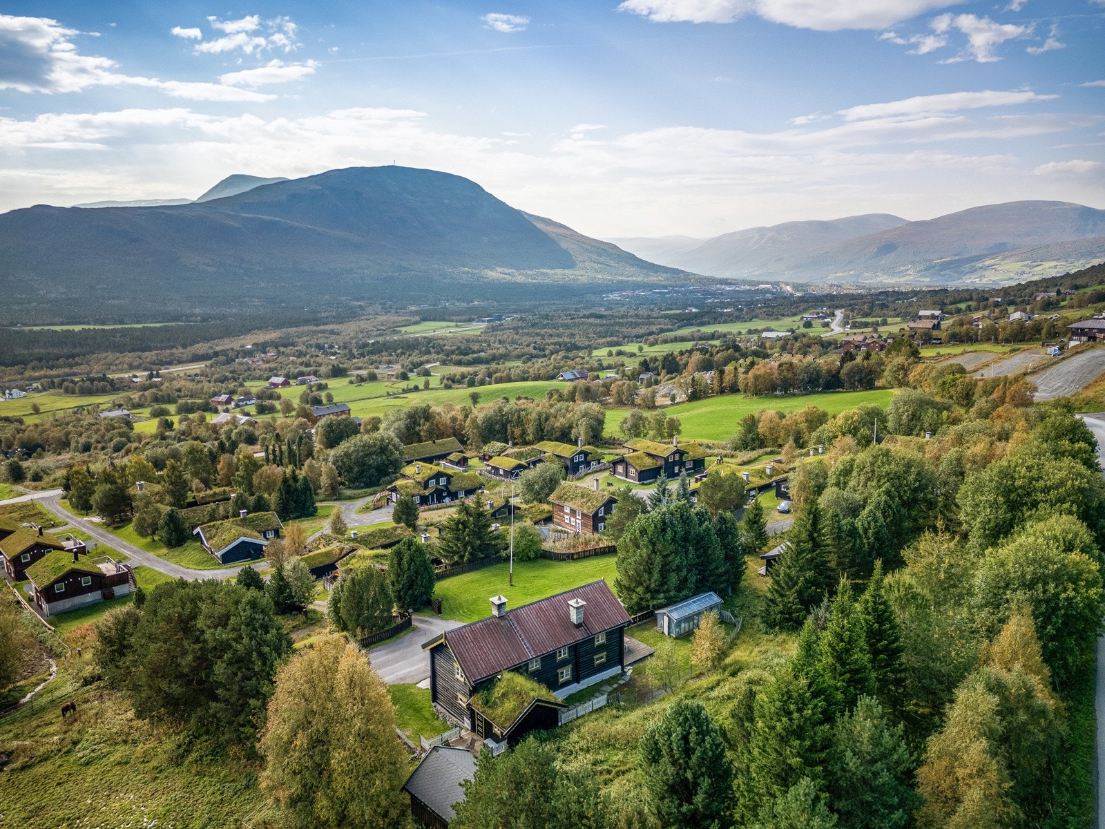 Område Galleribilde