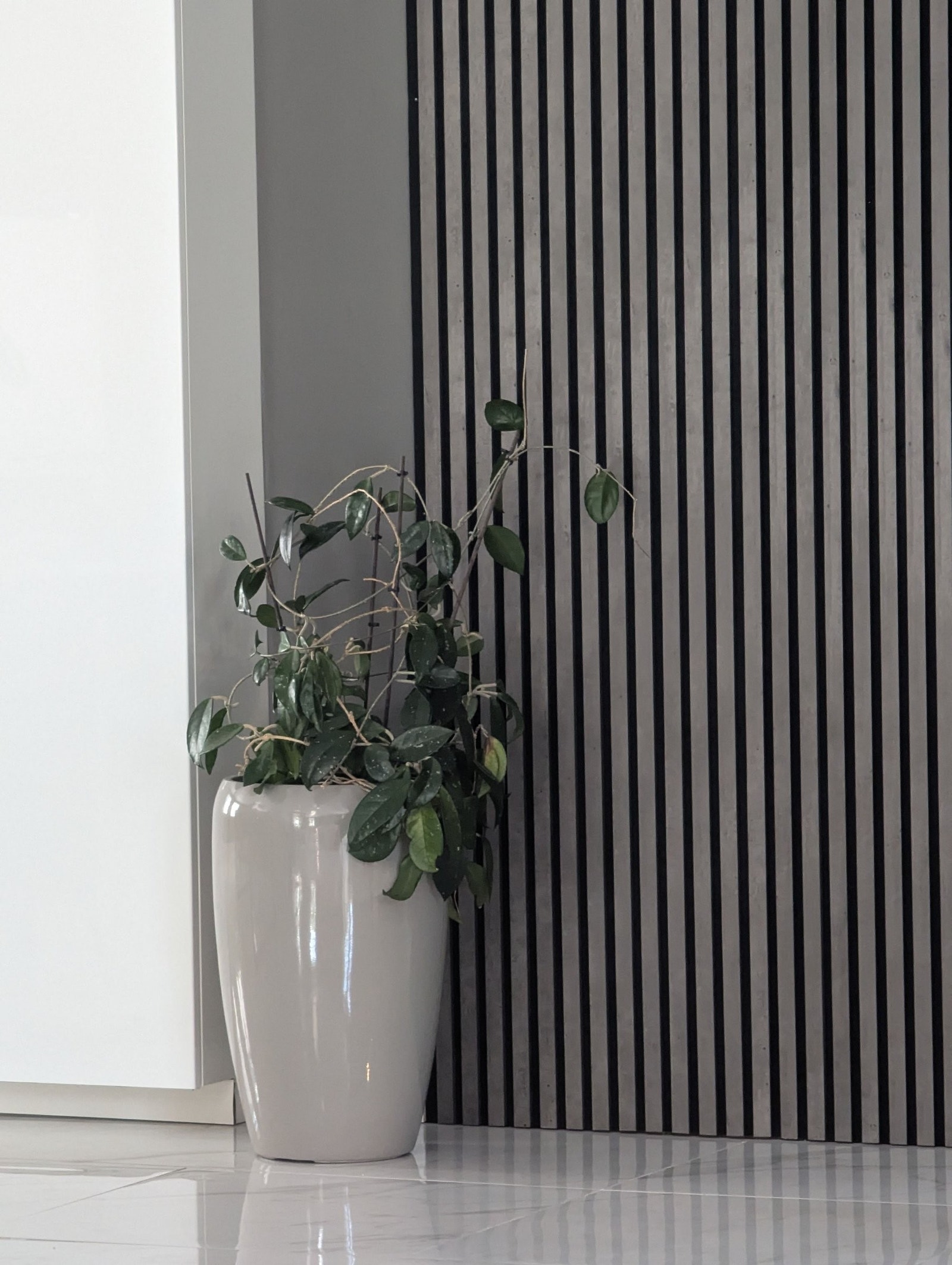 Inngangen til hybelen er skult. Galleribilde