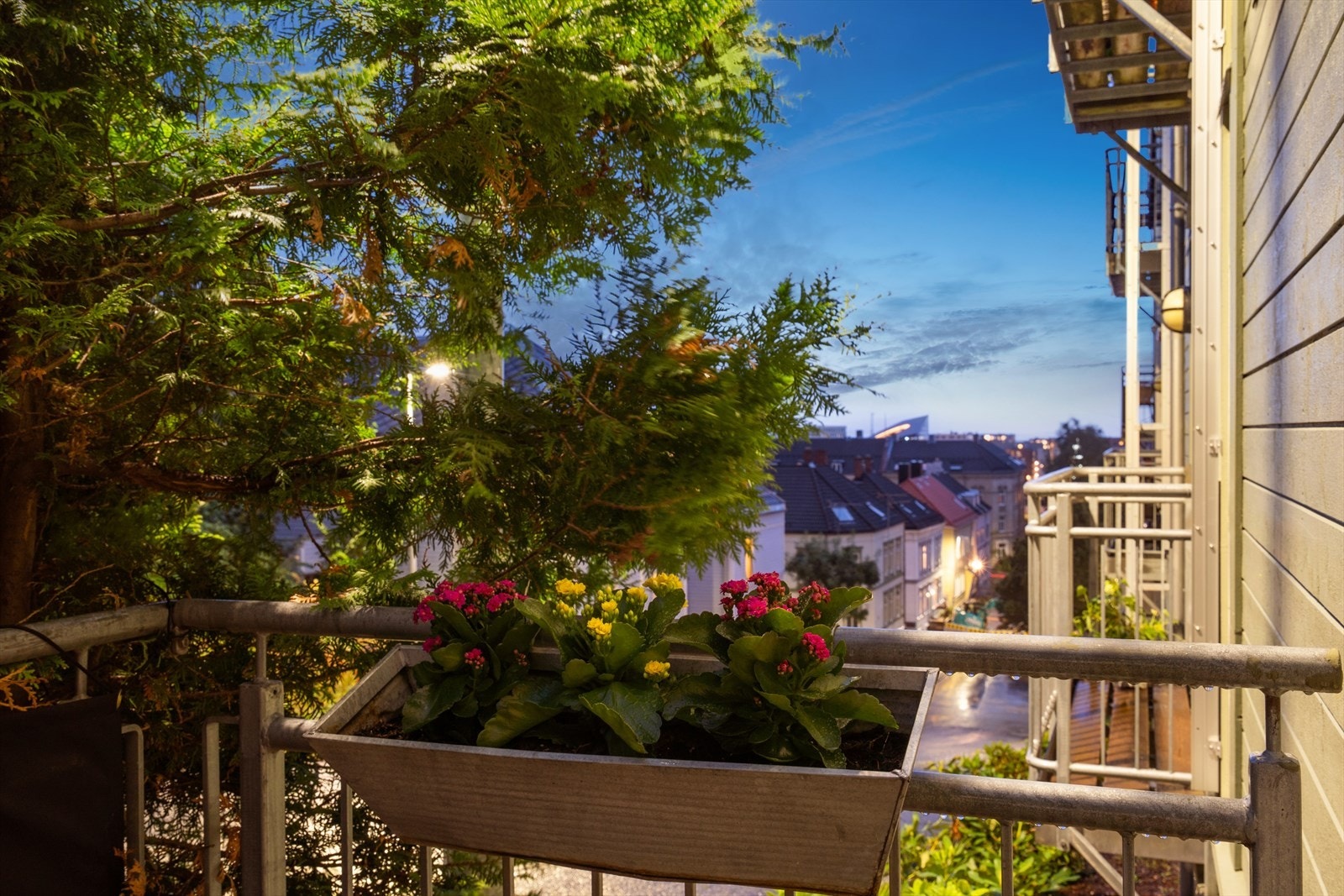 Utsikt fra balkongen ned Gyldenløves Gate. Galleribilde