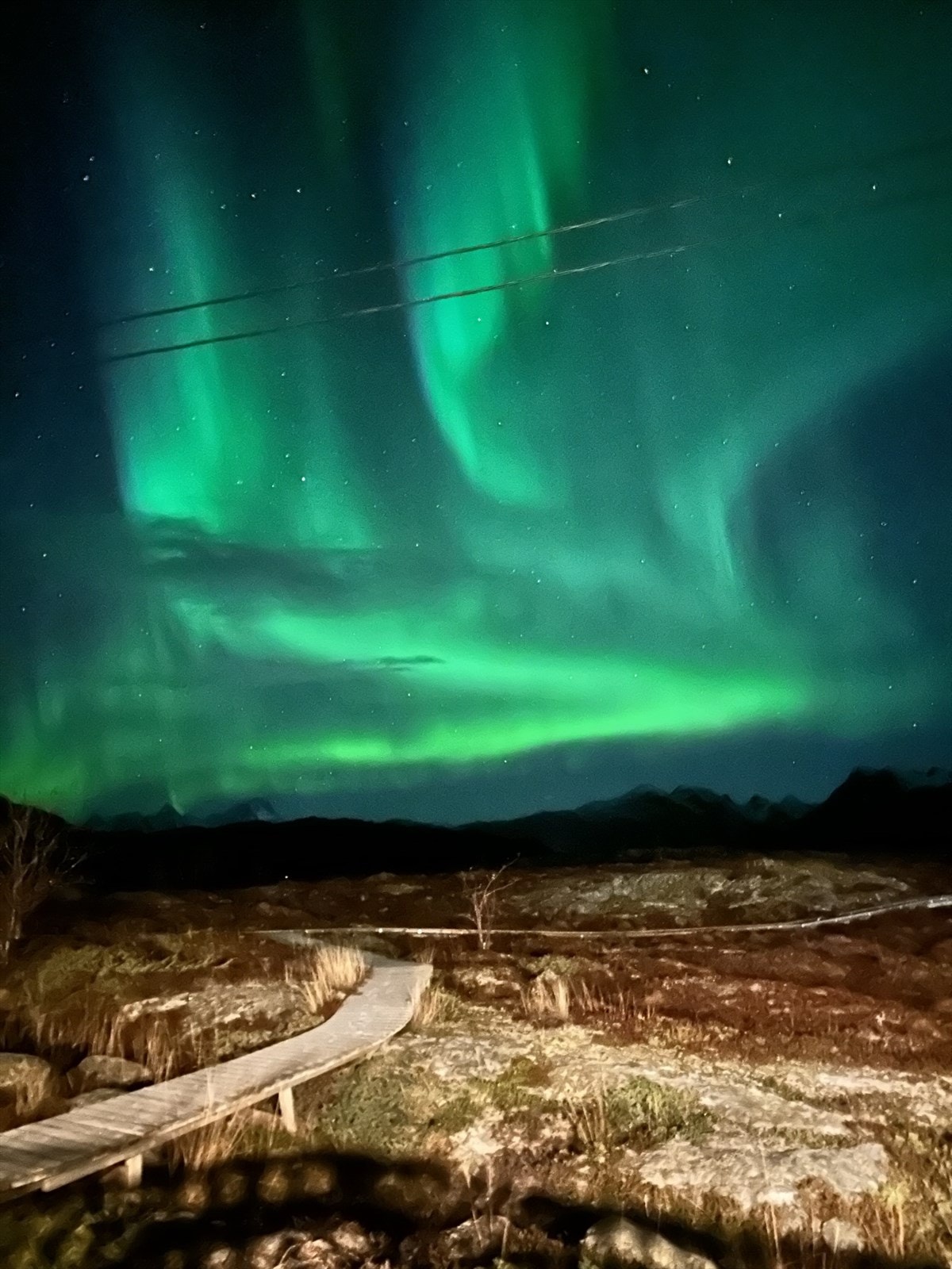 Selgers bilde Galleribilde