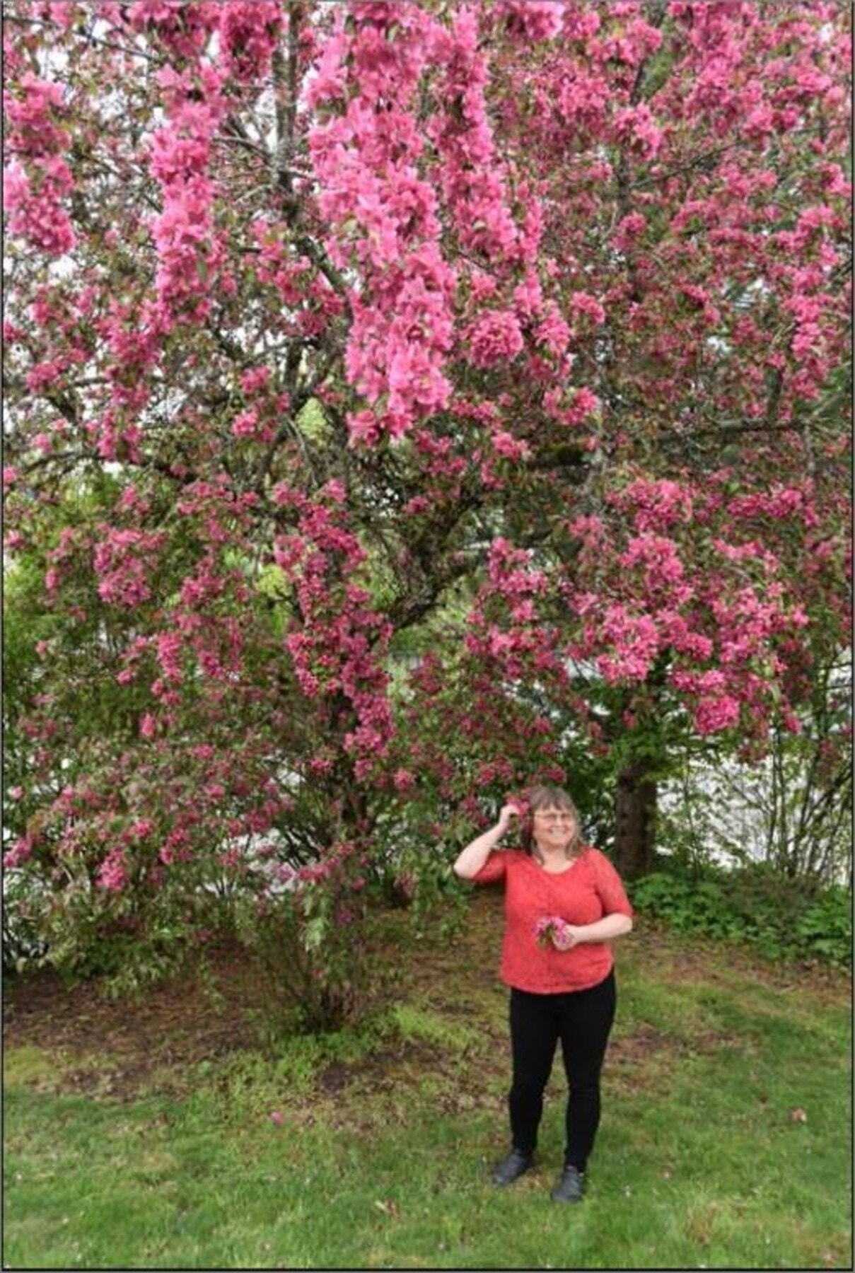 Sommeridyll Galleribilde